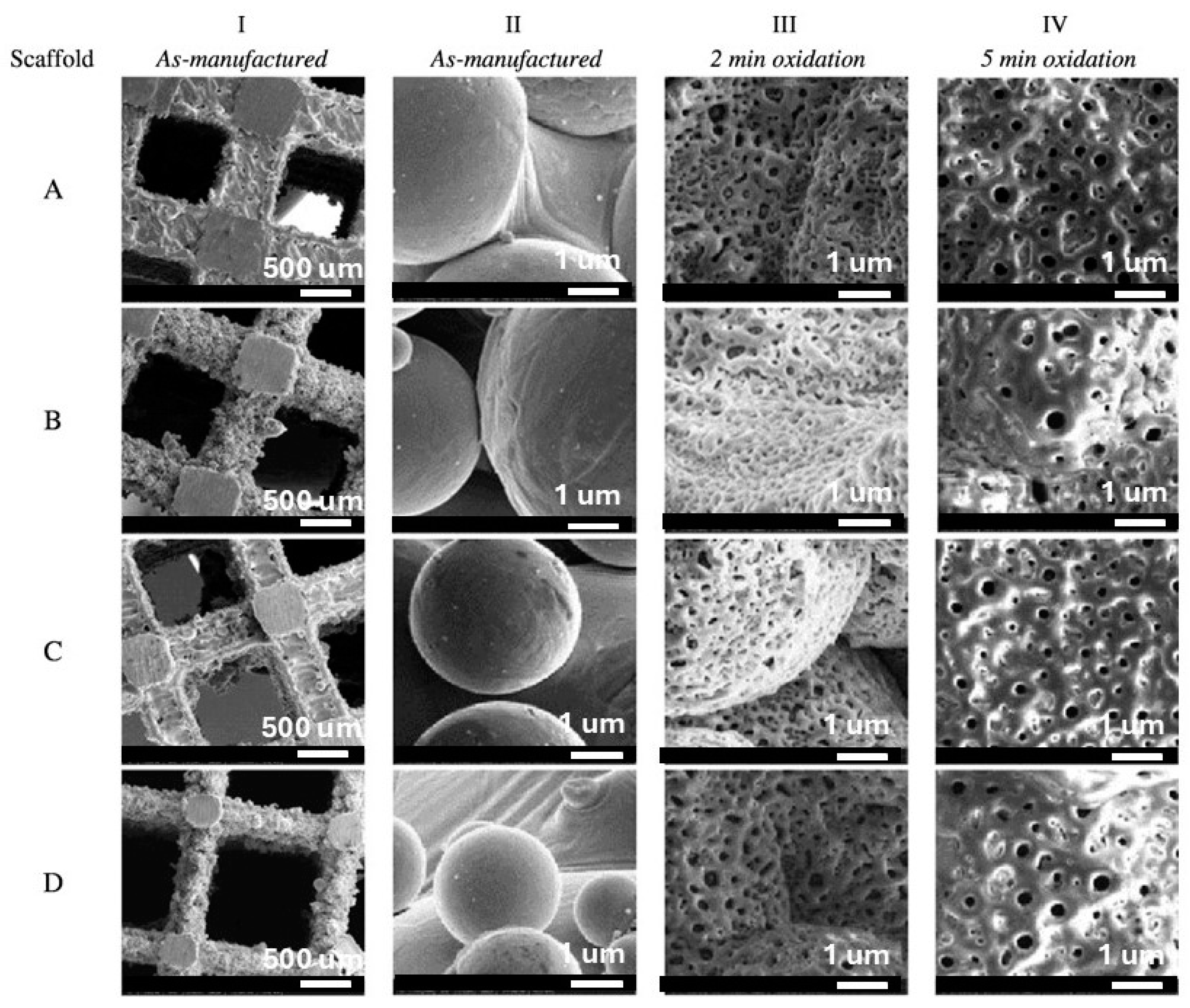 Materials 18 00822 g012 Materials 18 00822 g012