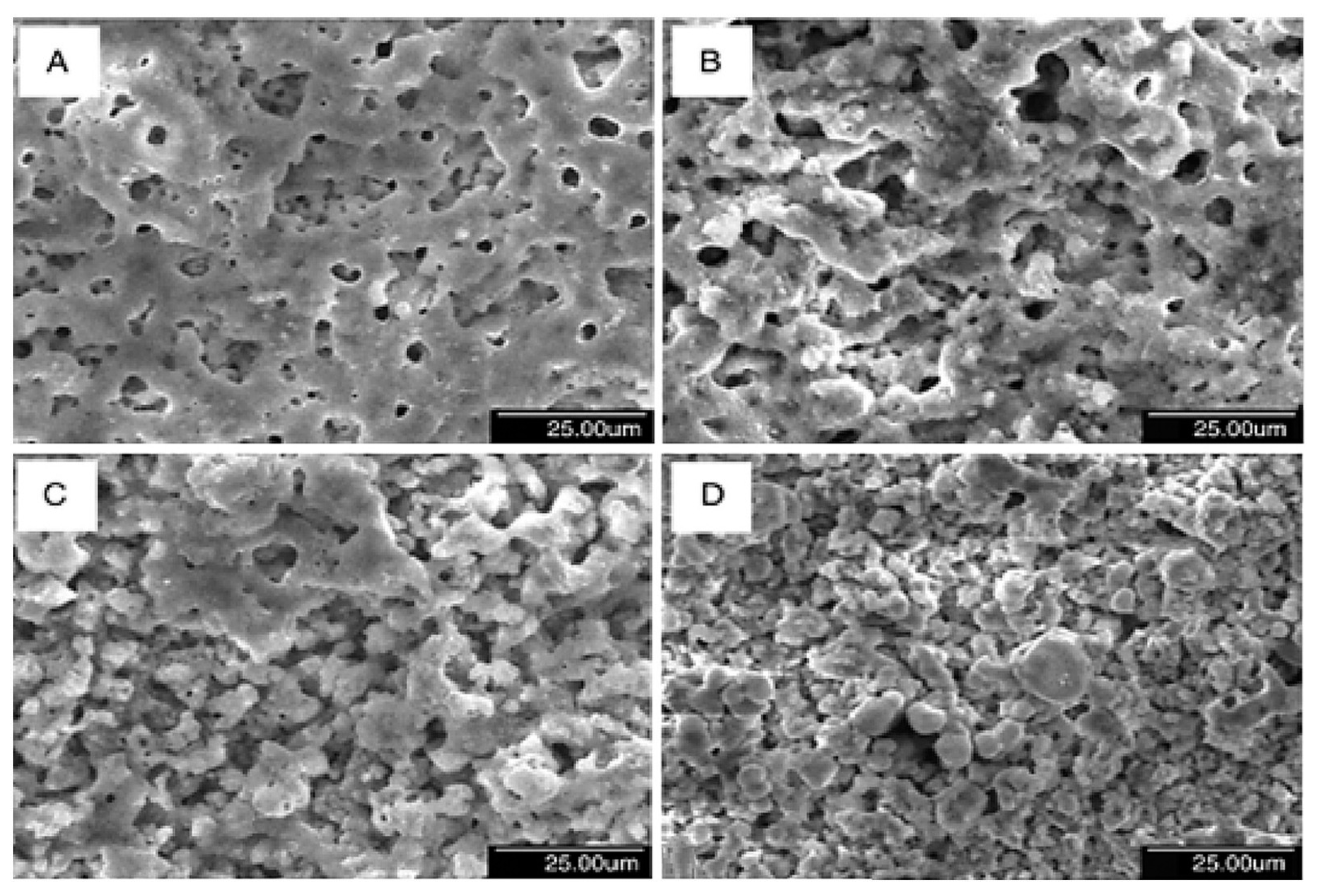 Materials 18 00822 g014 Materials 18 00822 g014