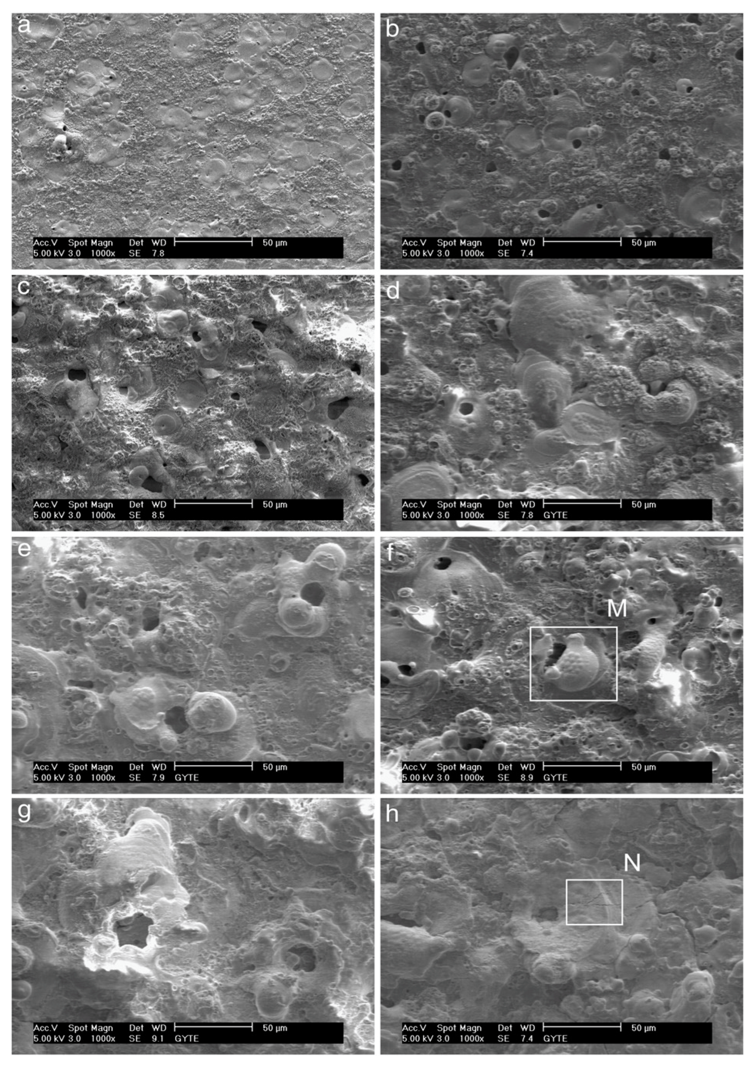 Materials 18 00822 g016 Materials 18 00822 g016