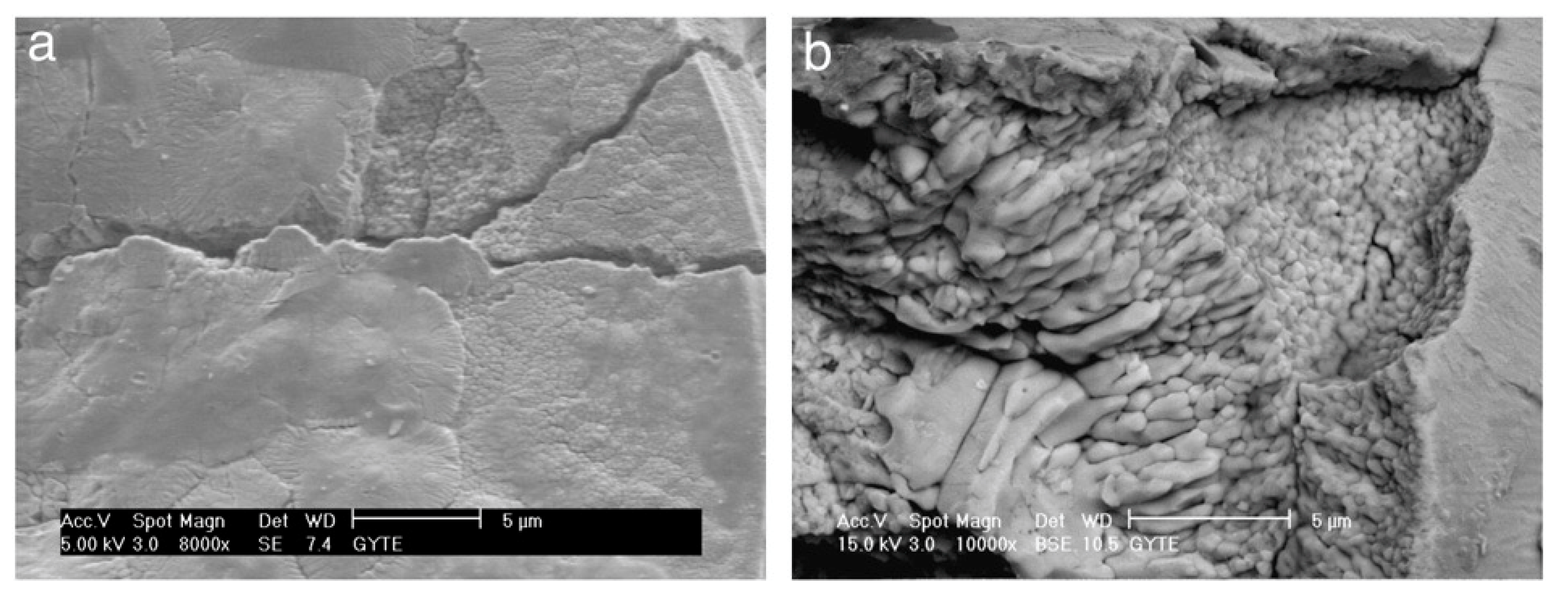 Materials 18 00822 g018 Materials 18 00822 g018