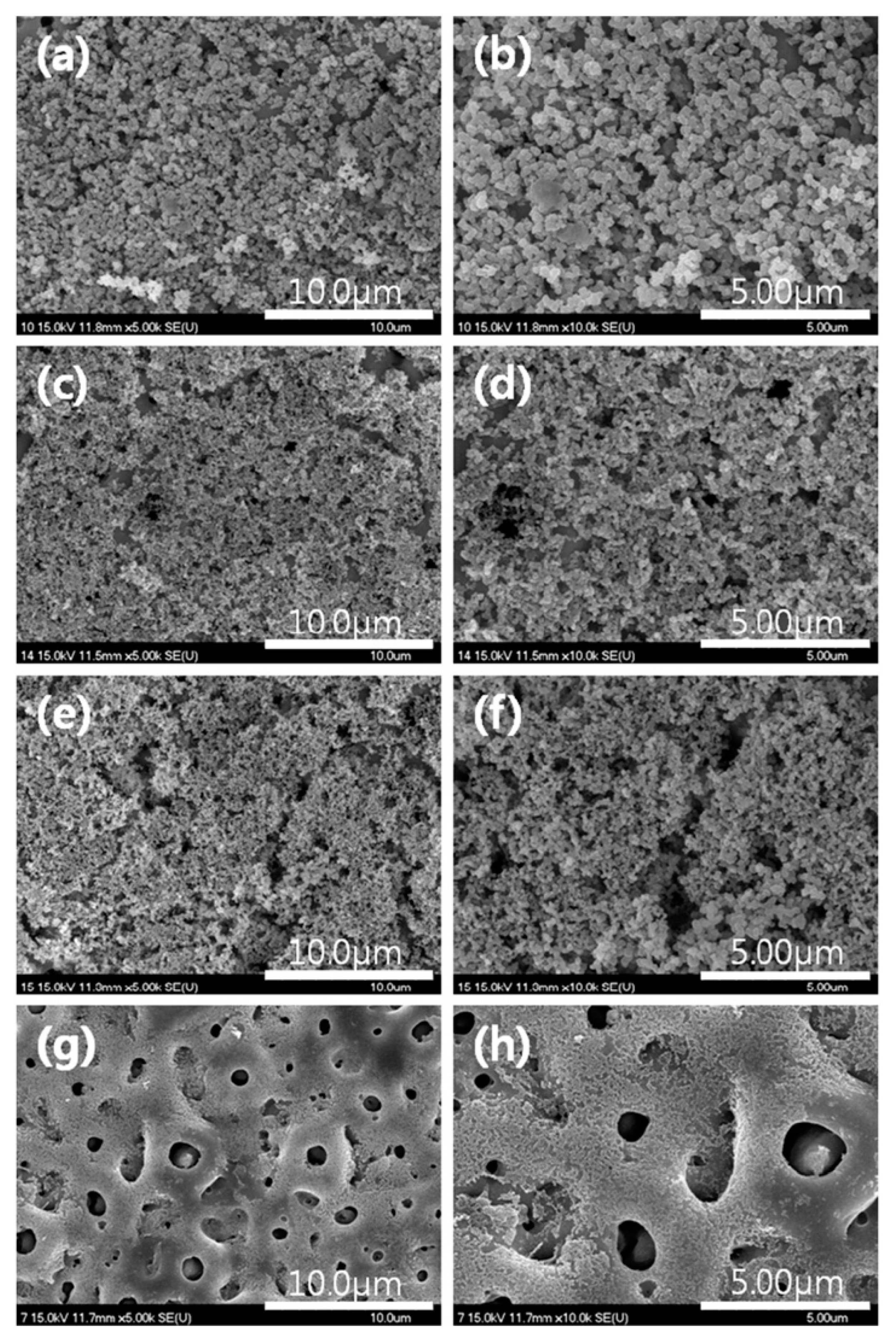 Materials 18 00822 g021 Materials 18 00822 g021