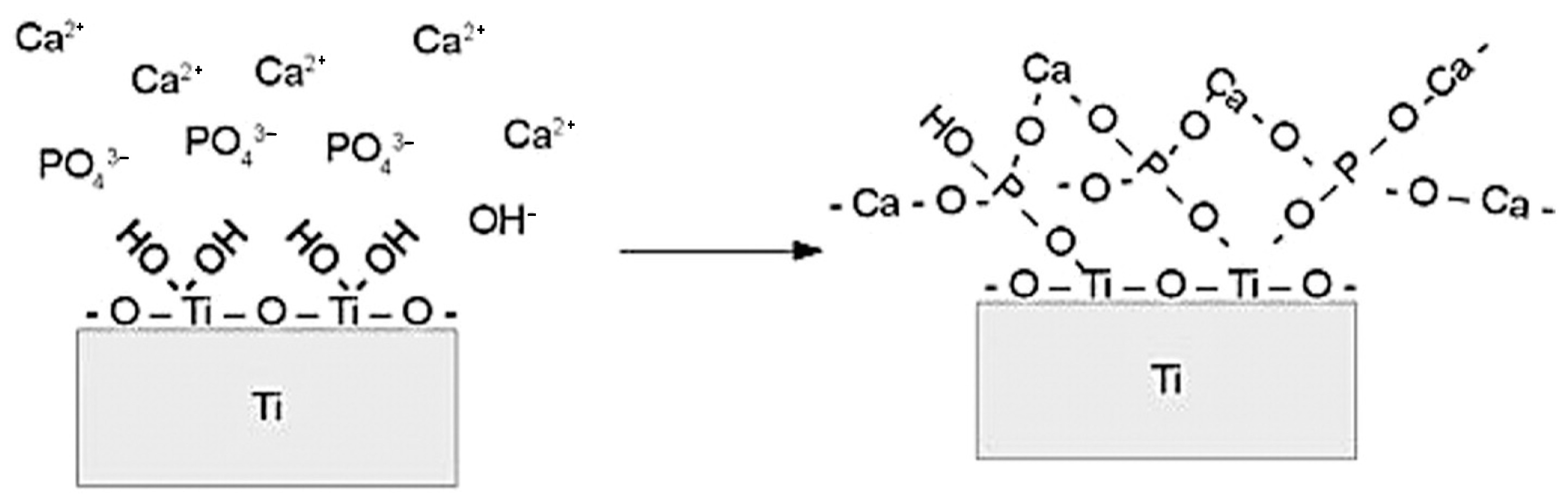 Materials 18 00822 g024 Materials 18 00822 g024