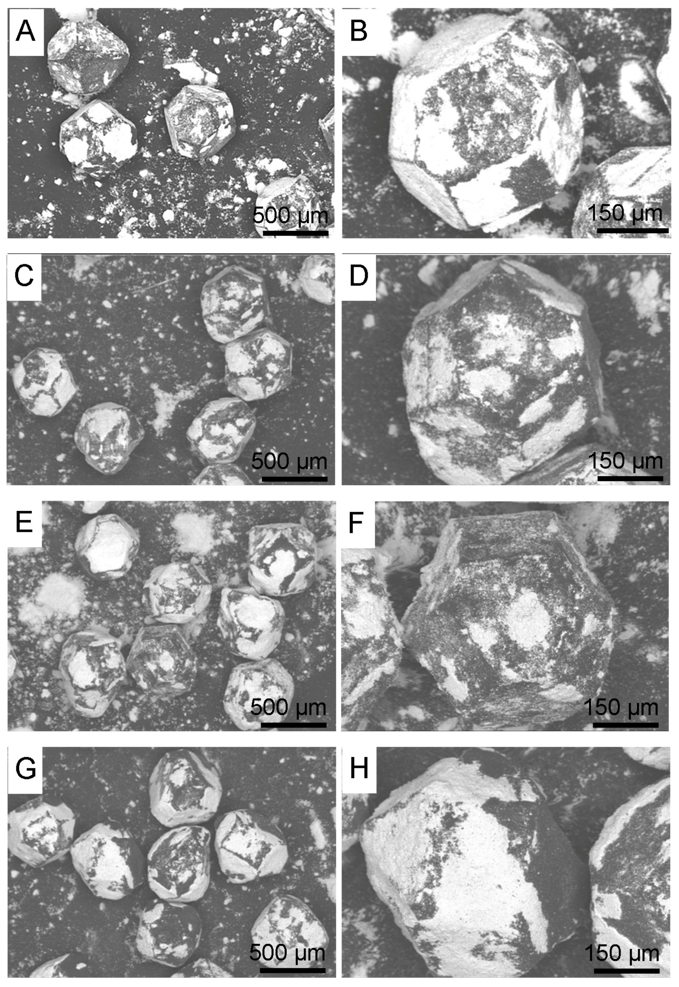 Materials 18 00869 g002