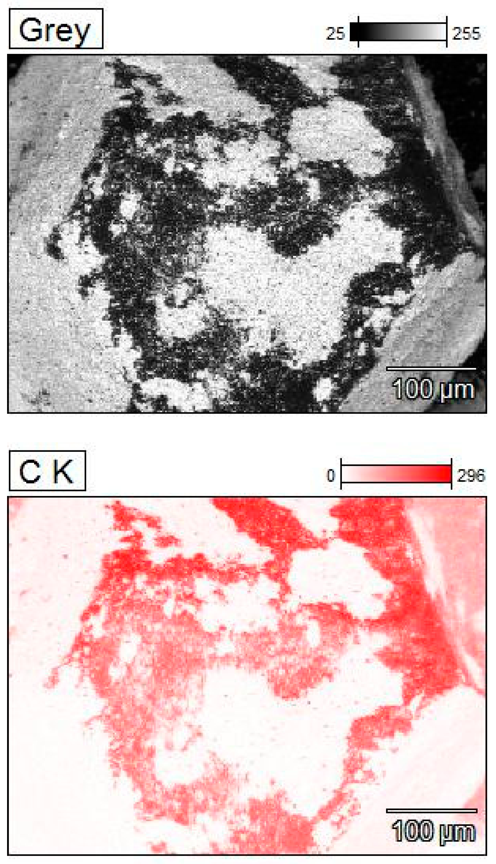 Materials 18 00869 g003a