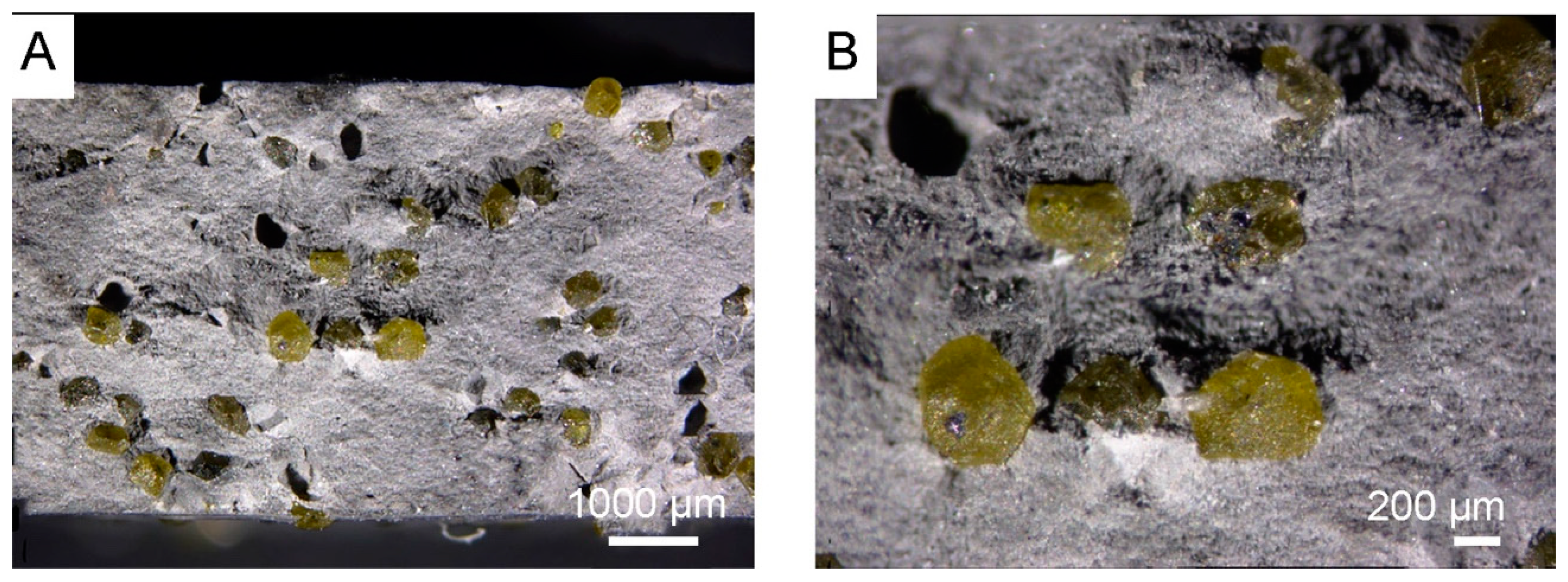 Materials 18 00869 g008