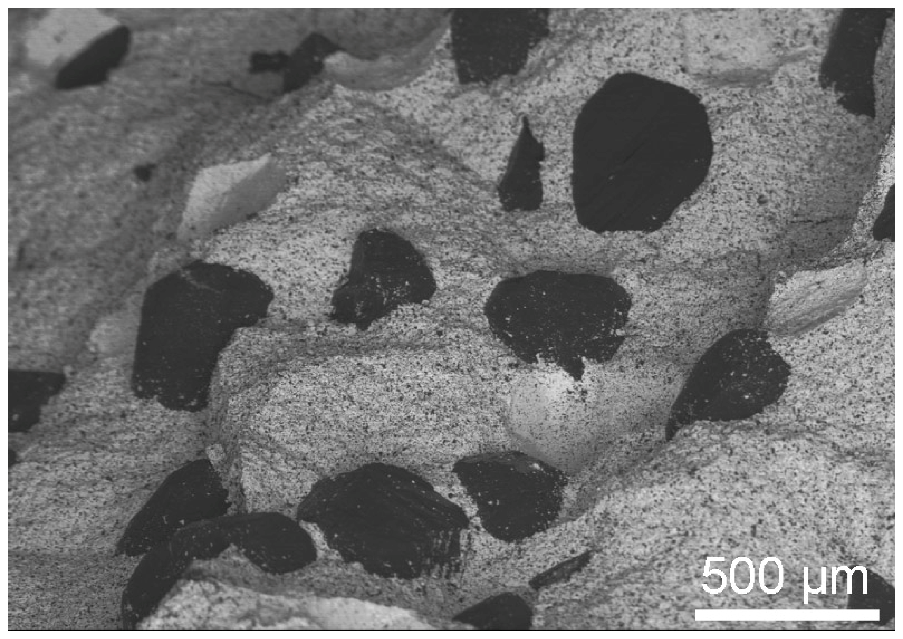 Materials 18 00869 g010