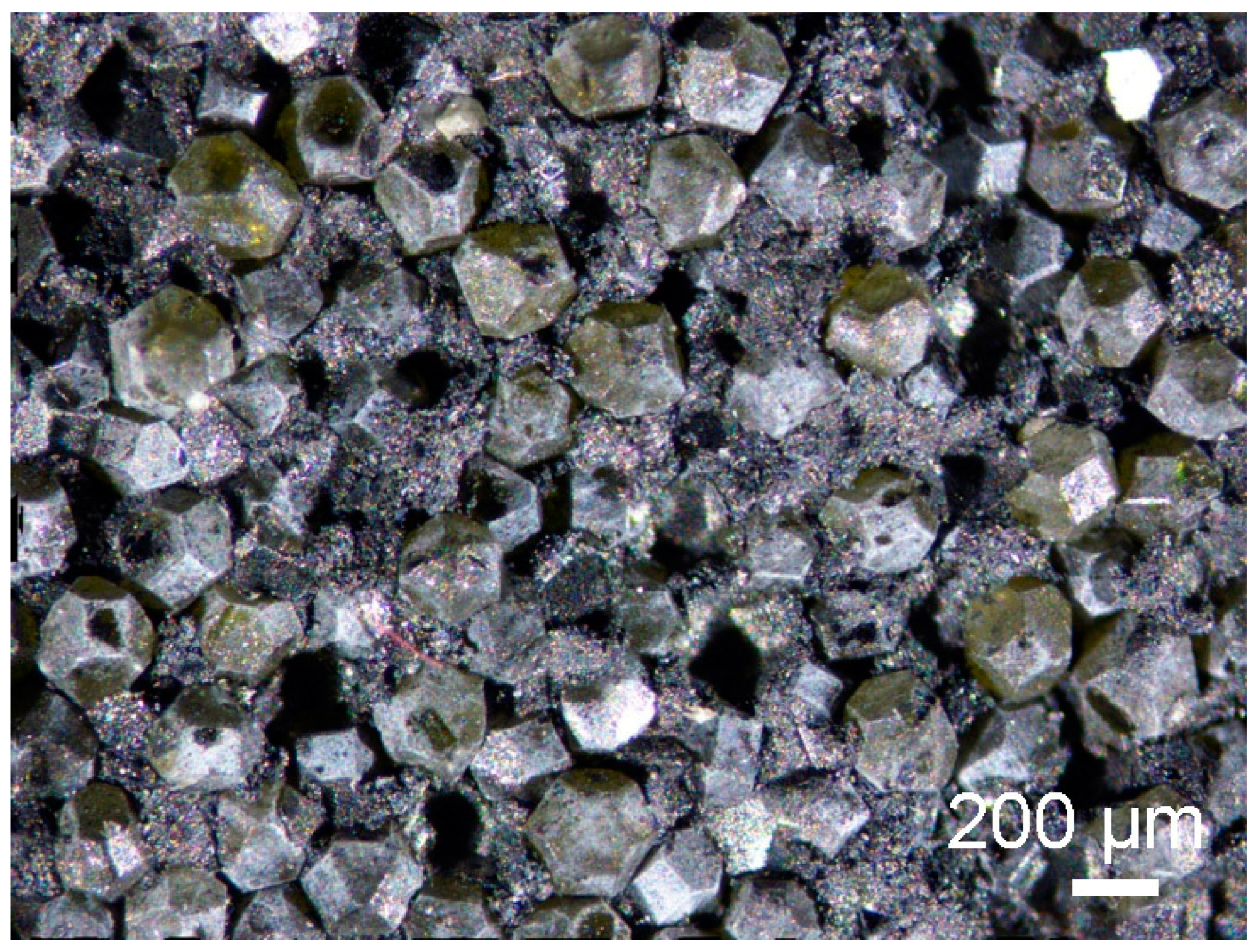 Materials 18 00869 g015