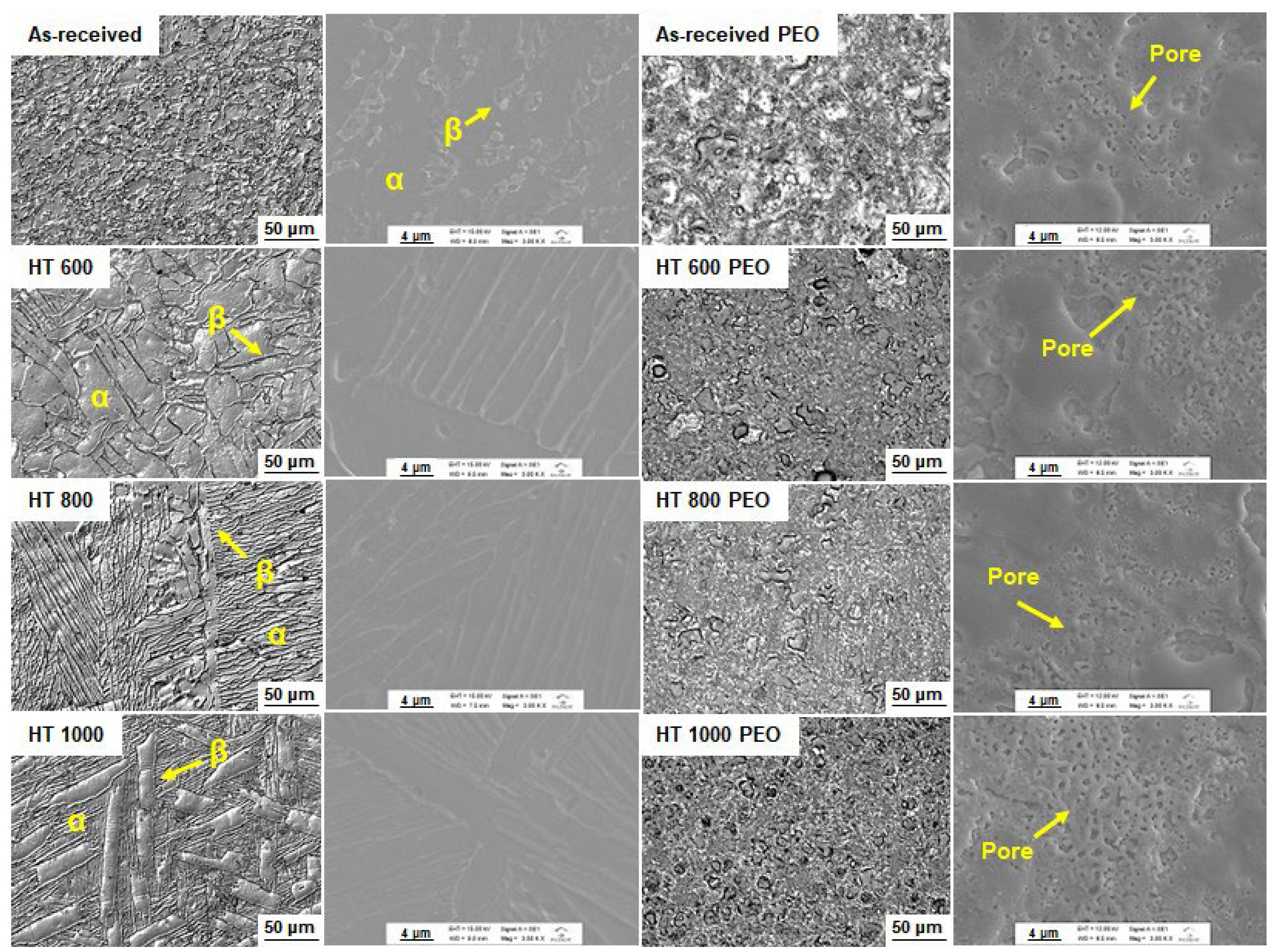 Materials 18 00955 g003