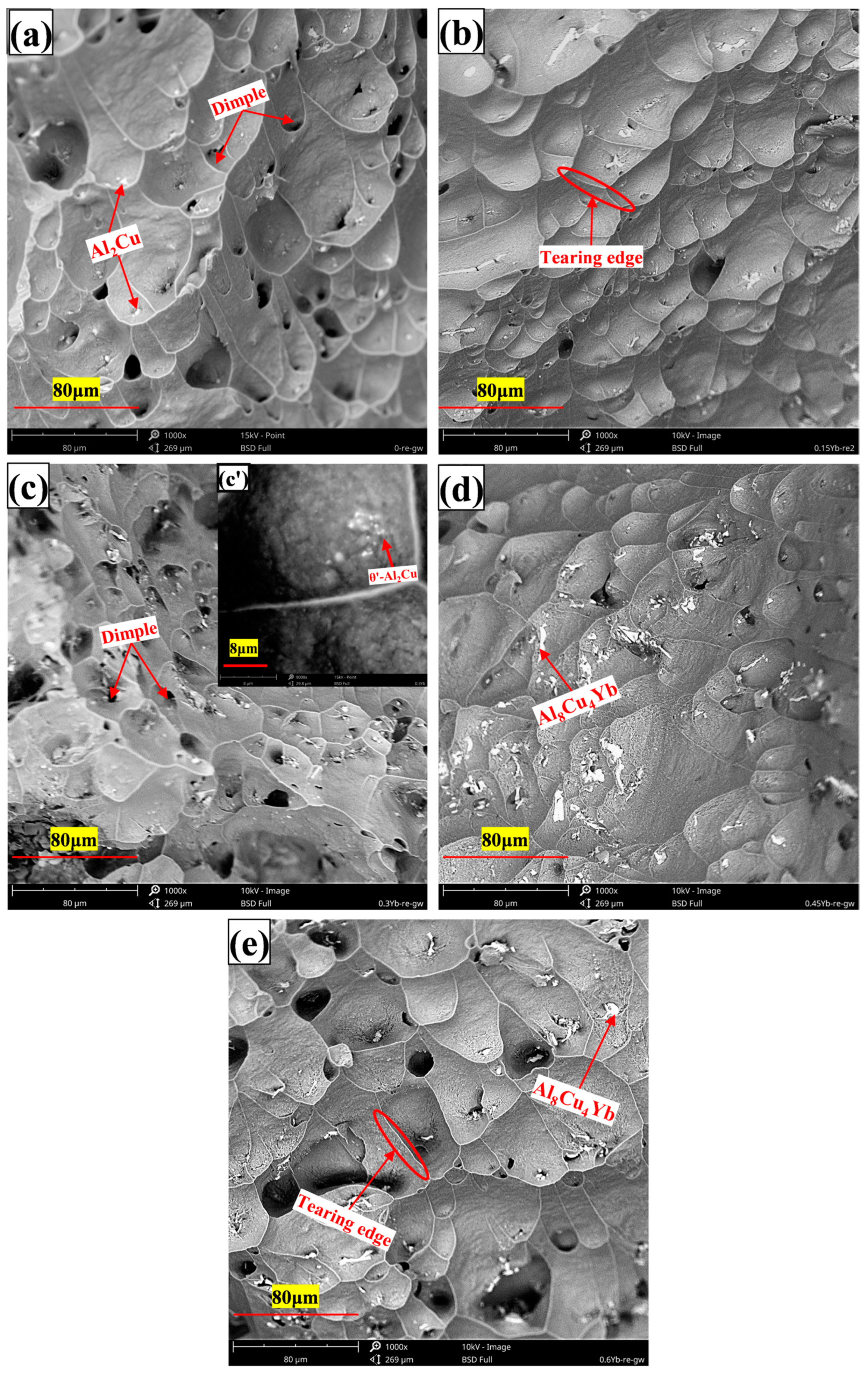 Materials 18 00958 g014