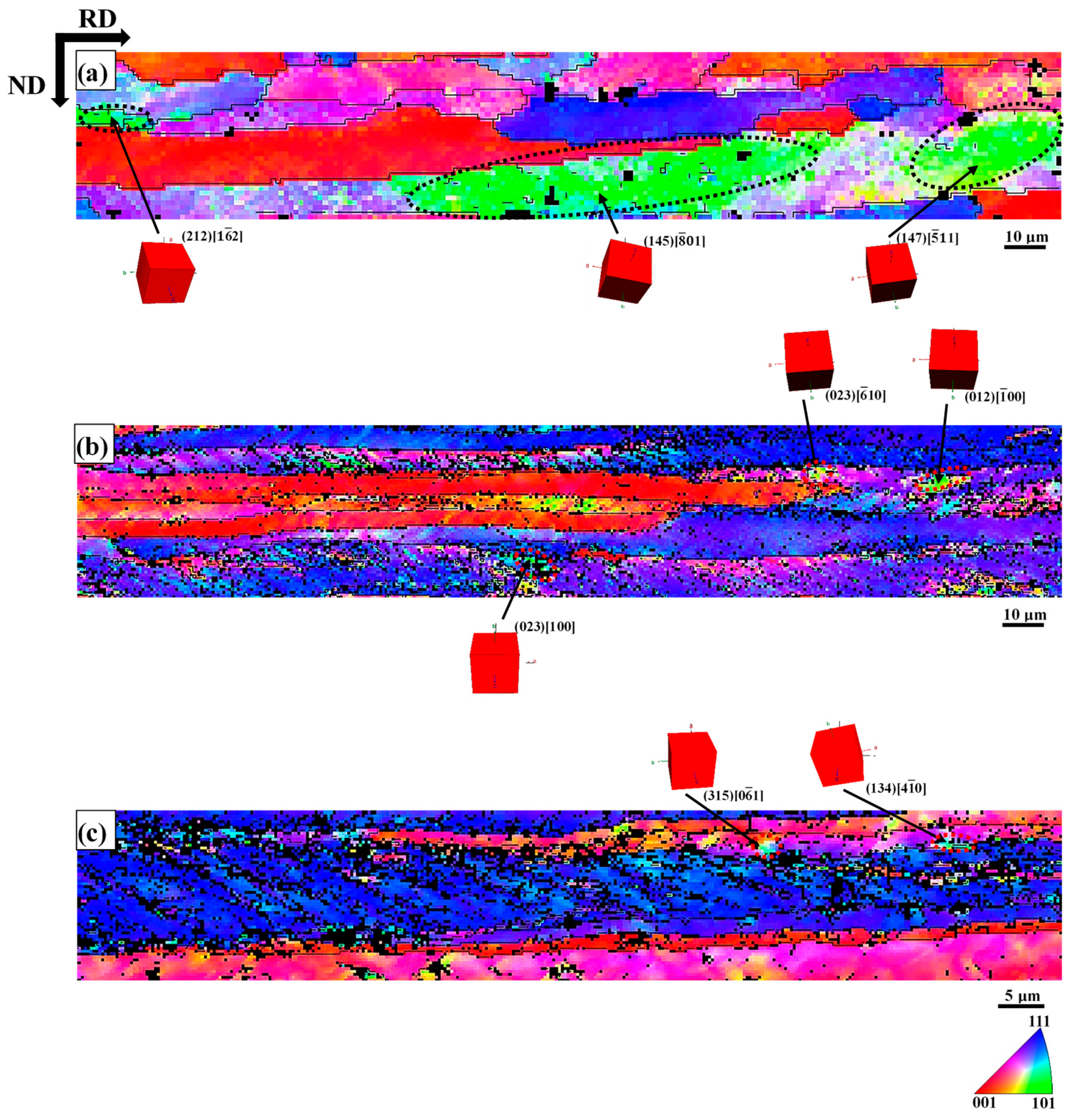 Materials 18 00995 g007
