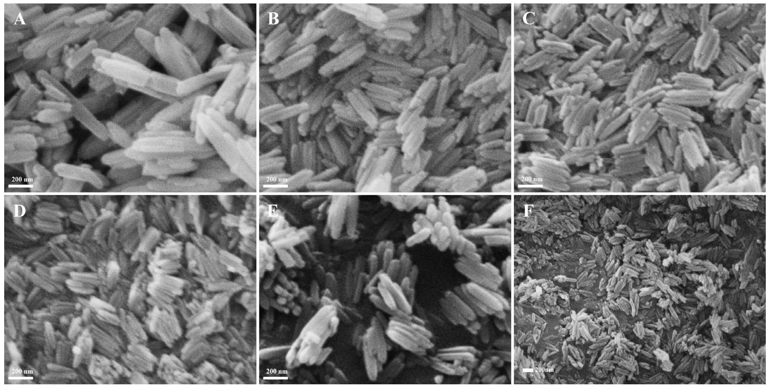 Materials 18 01014 g003