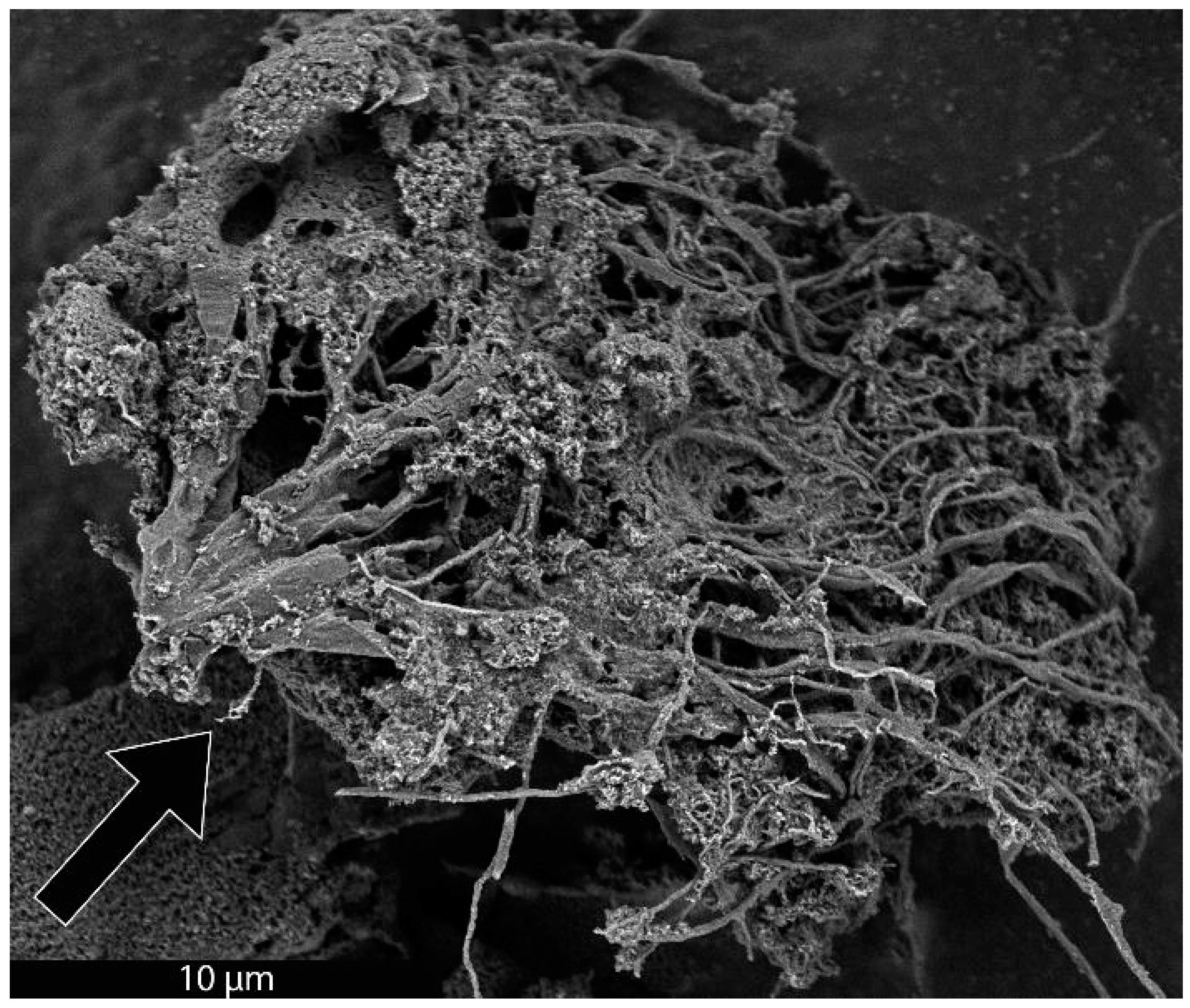 Materials 18 01022 g001