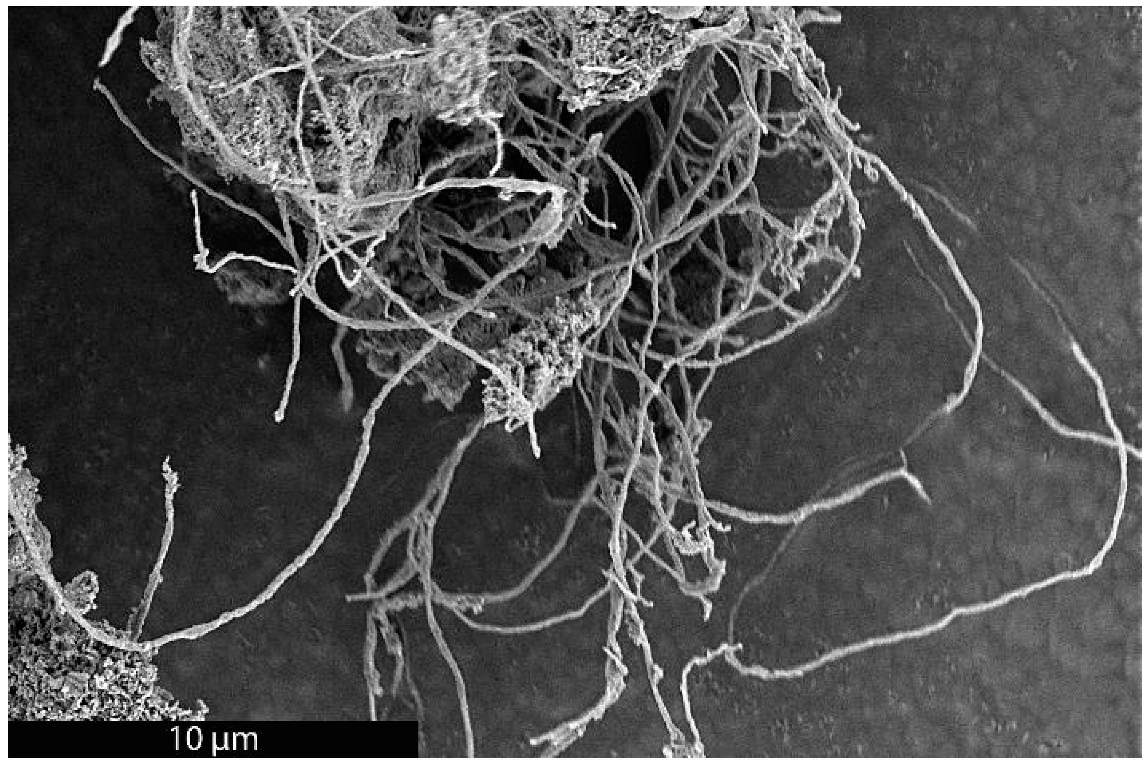 Materials 18 01022 g002