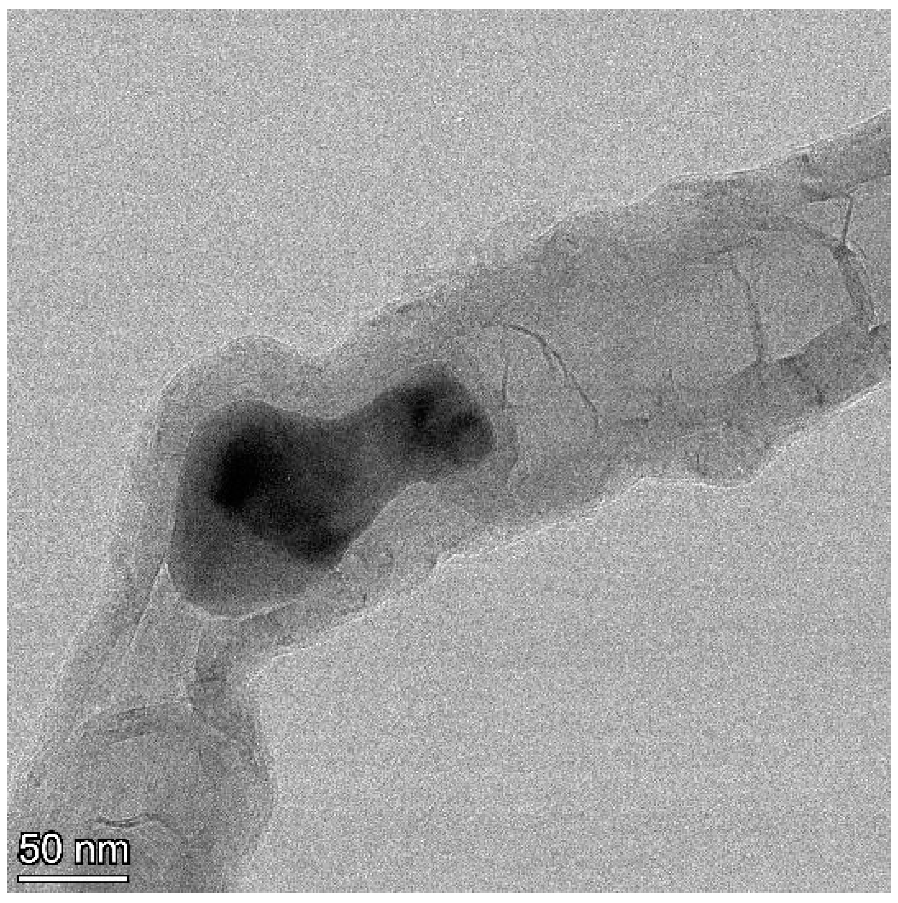 Materials 18 01022 g004