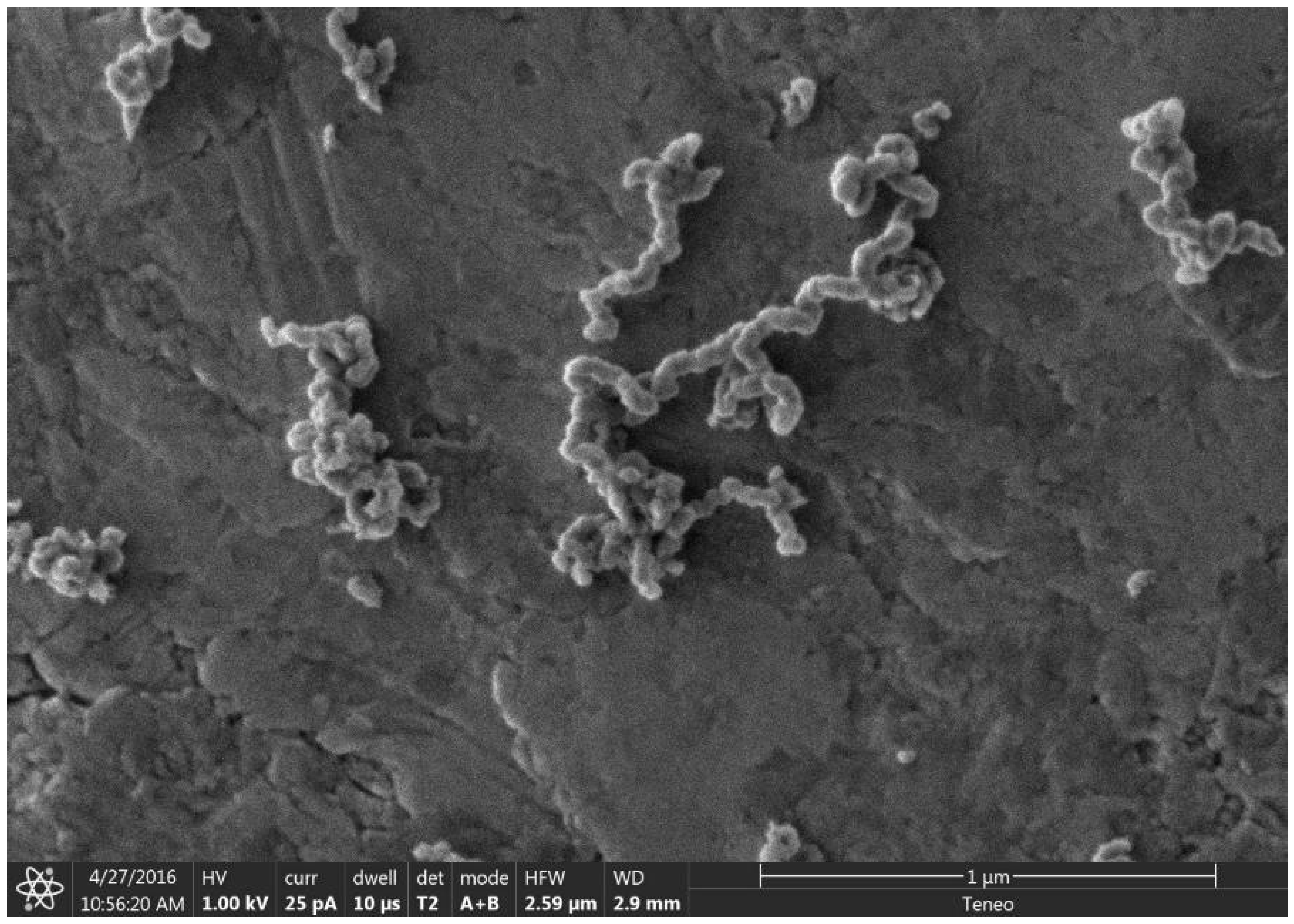 Materials 18 01022 g007