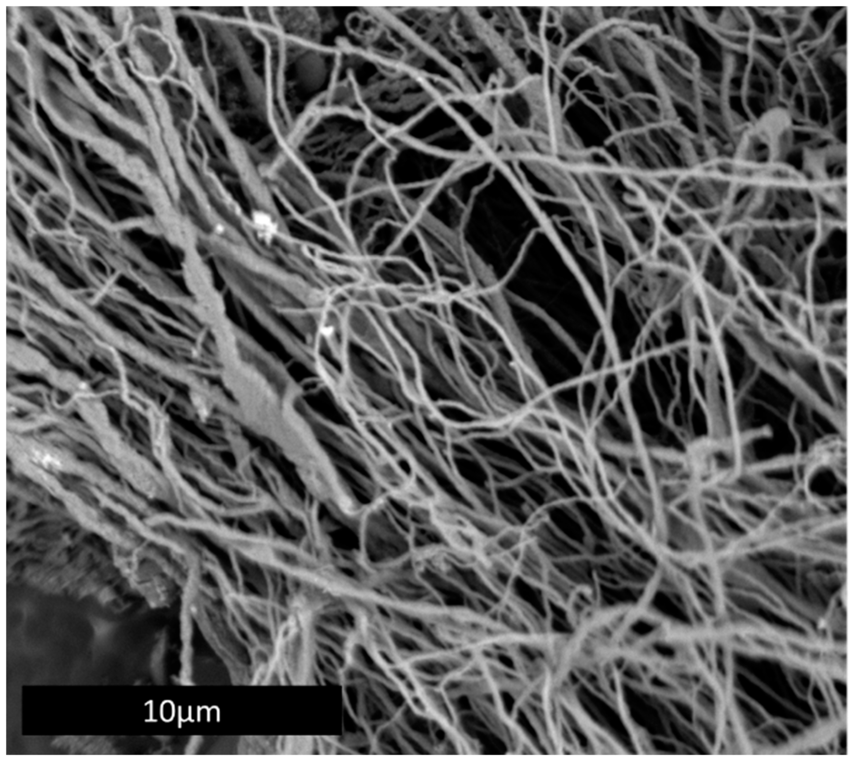 Materials 18 01022 g016