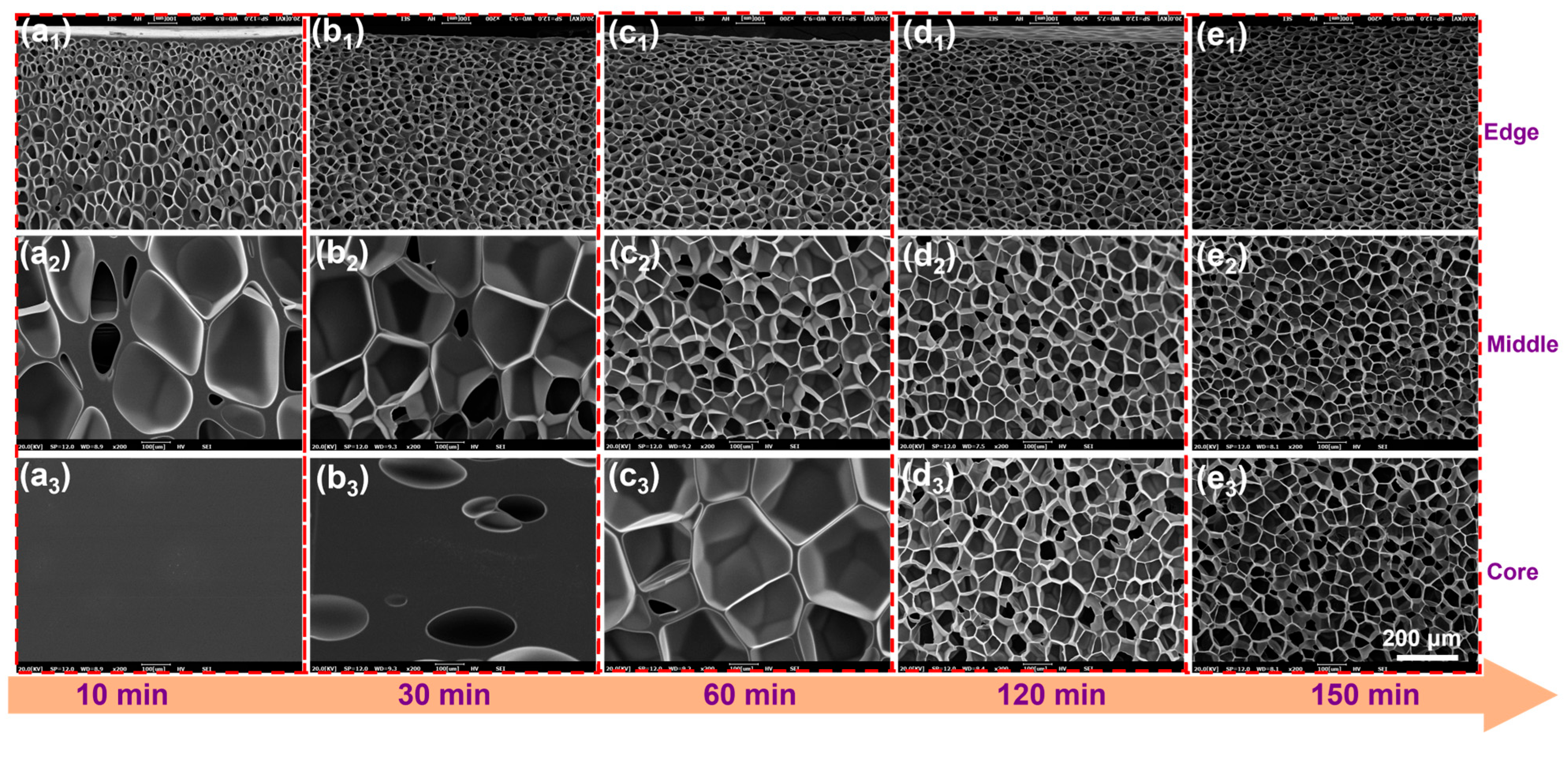 Materials 18 01044 g004