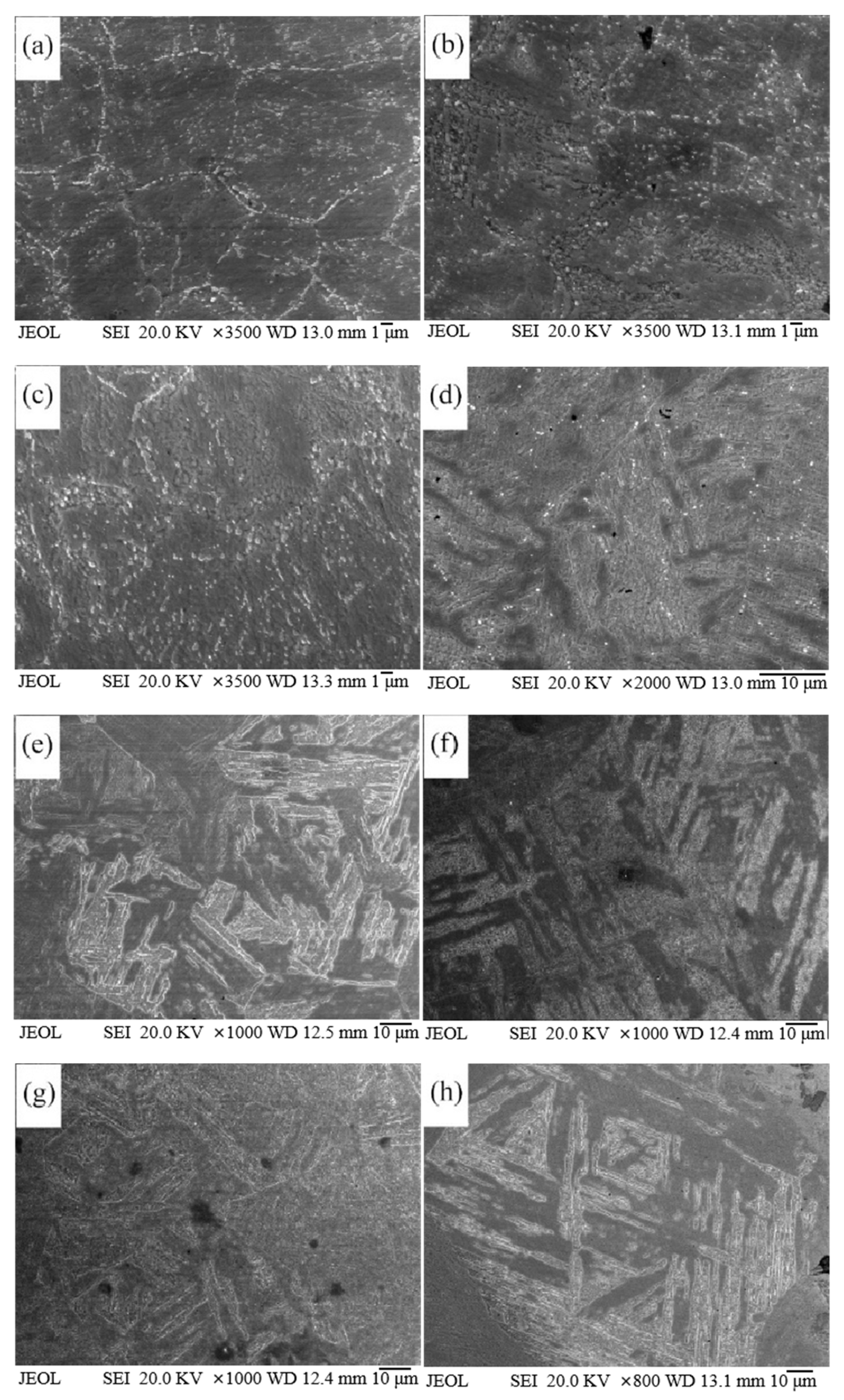 Materials 18 01064 g007