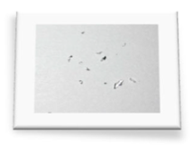 Materials 18 01104 i030