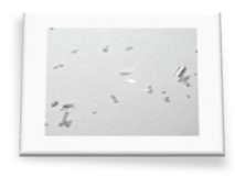 Materials 18 01104 i031