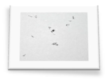 Materials 18 01104 i032