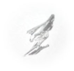 Materials 18 01104 i067