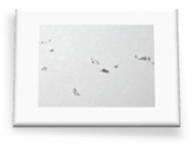 Materials 18 01104 i081