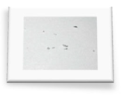 Materials 18 01104 i082