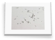 Materials 18 01104 i084