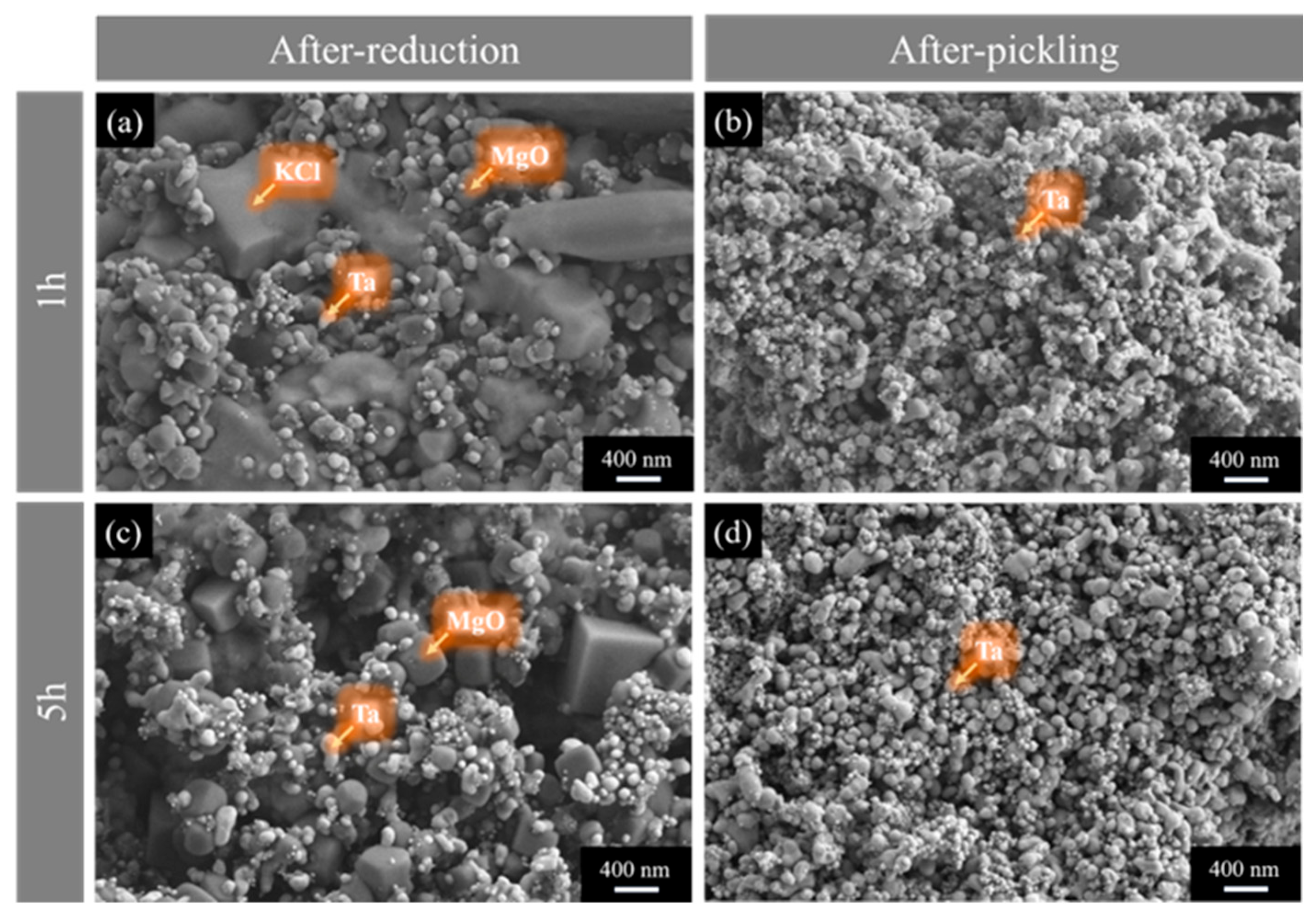 Materials 18 01115 g015