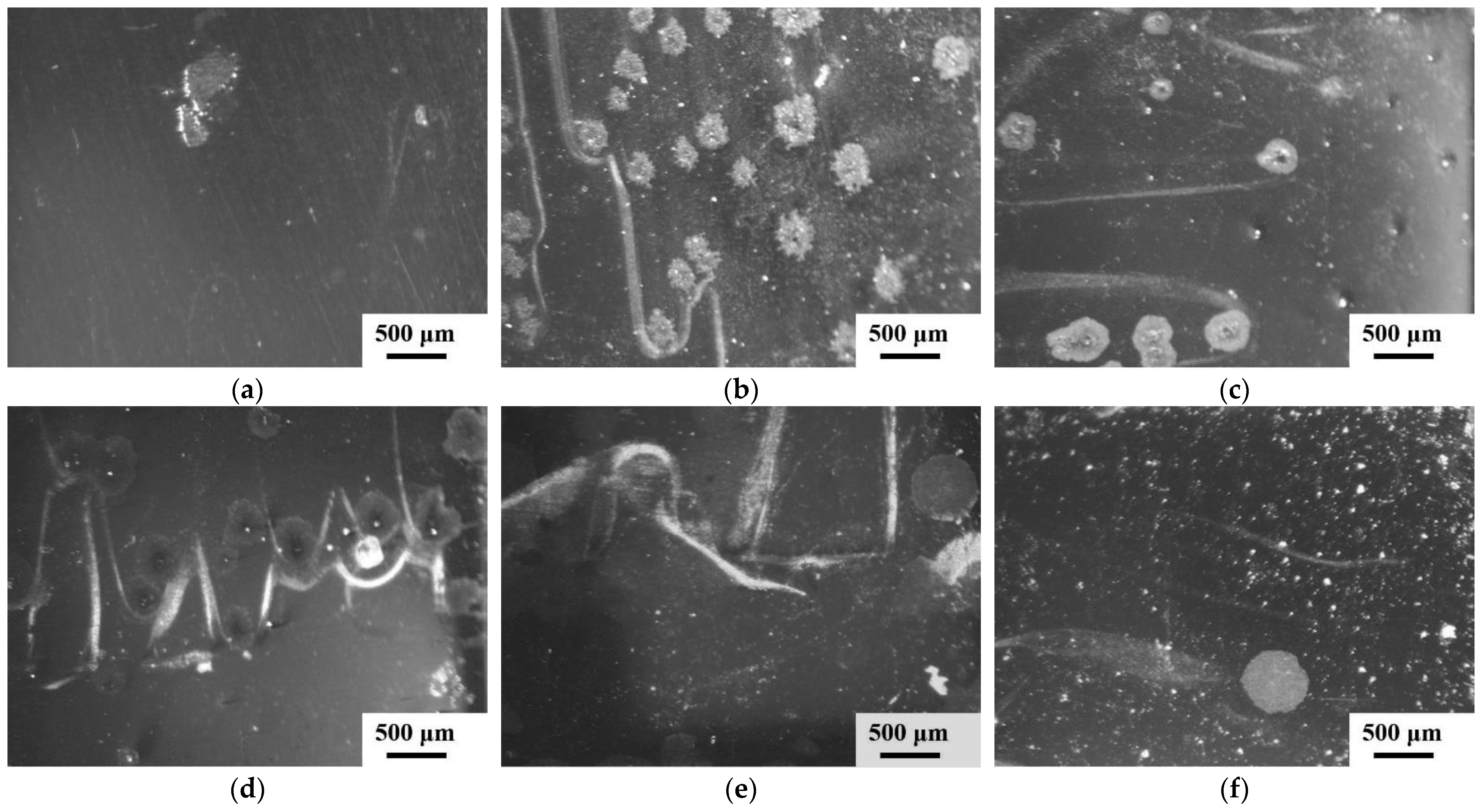 Materials 18 01132 g010