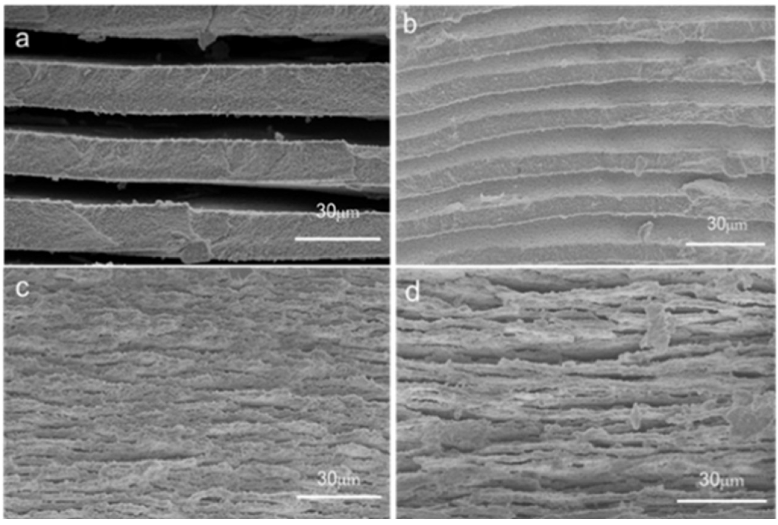 Materials 18 01133 g008