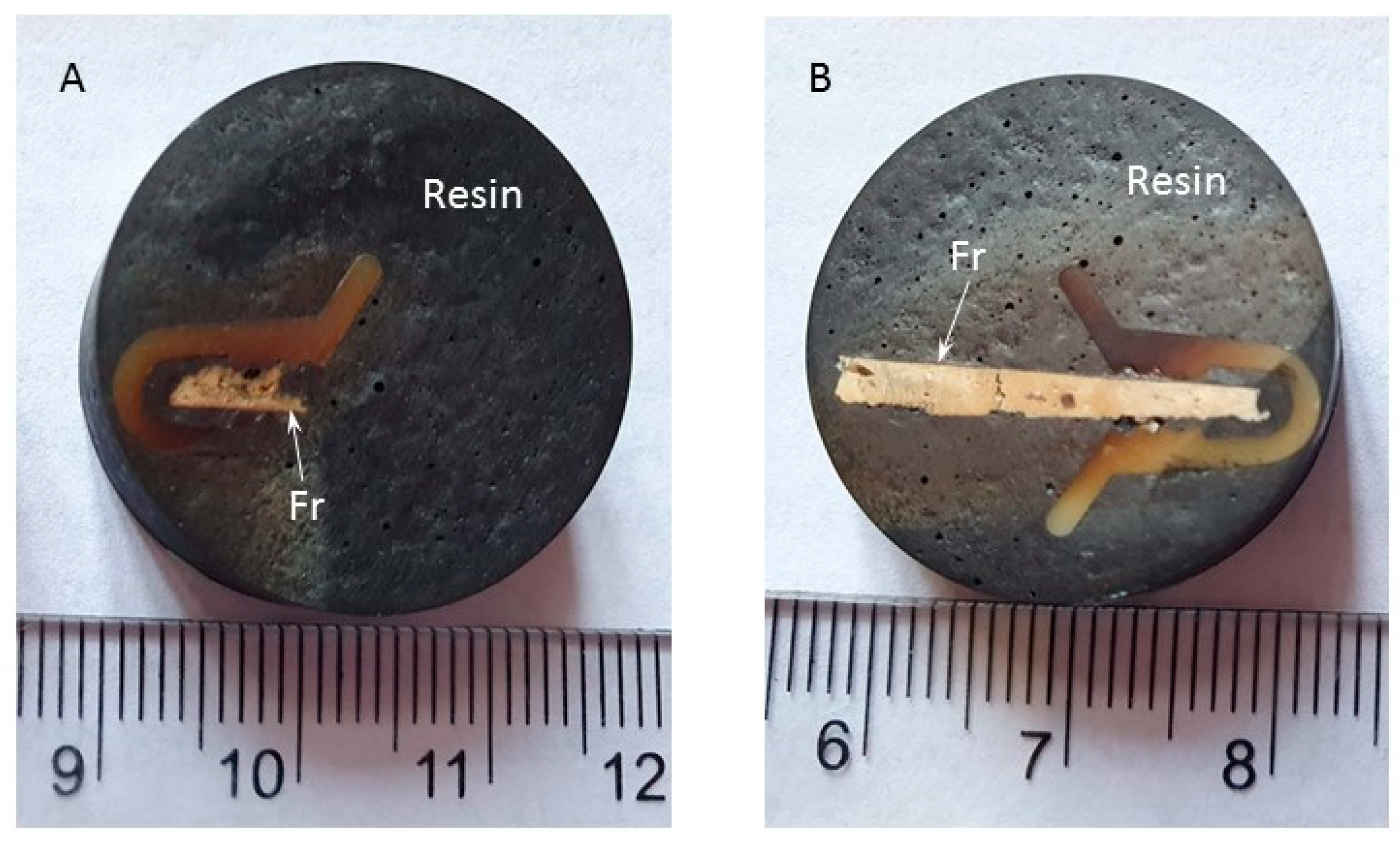 Materials 18 01149 g004