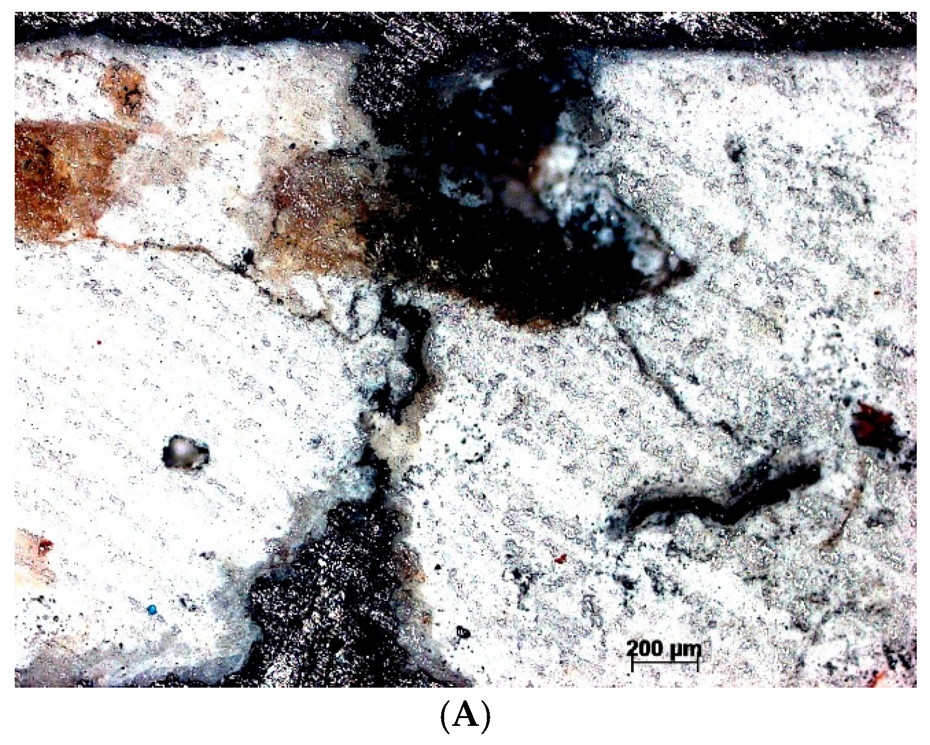 Materials 18 01149 g005a