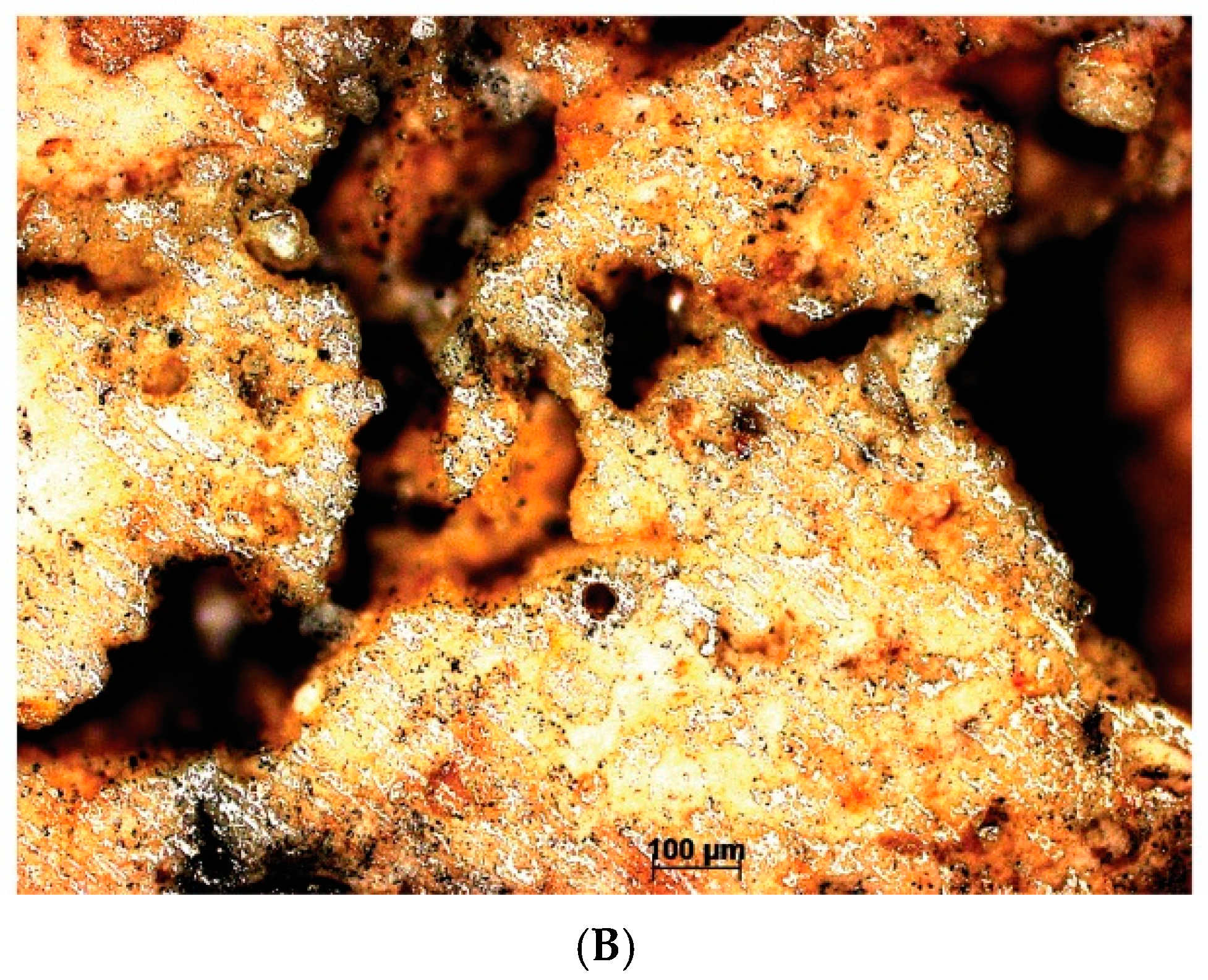 Materials 18 01149 g005b