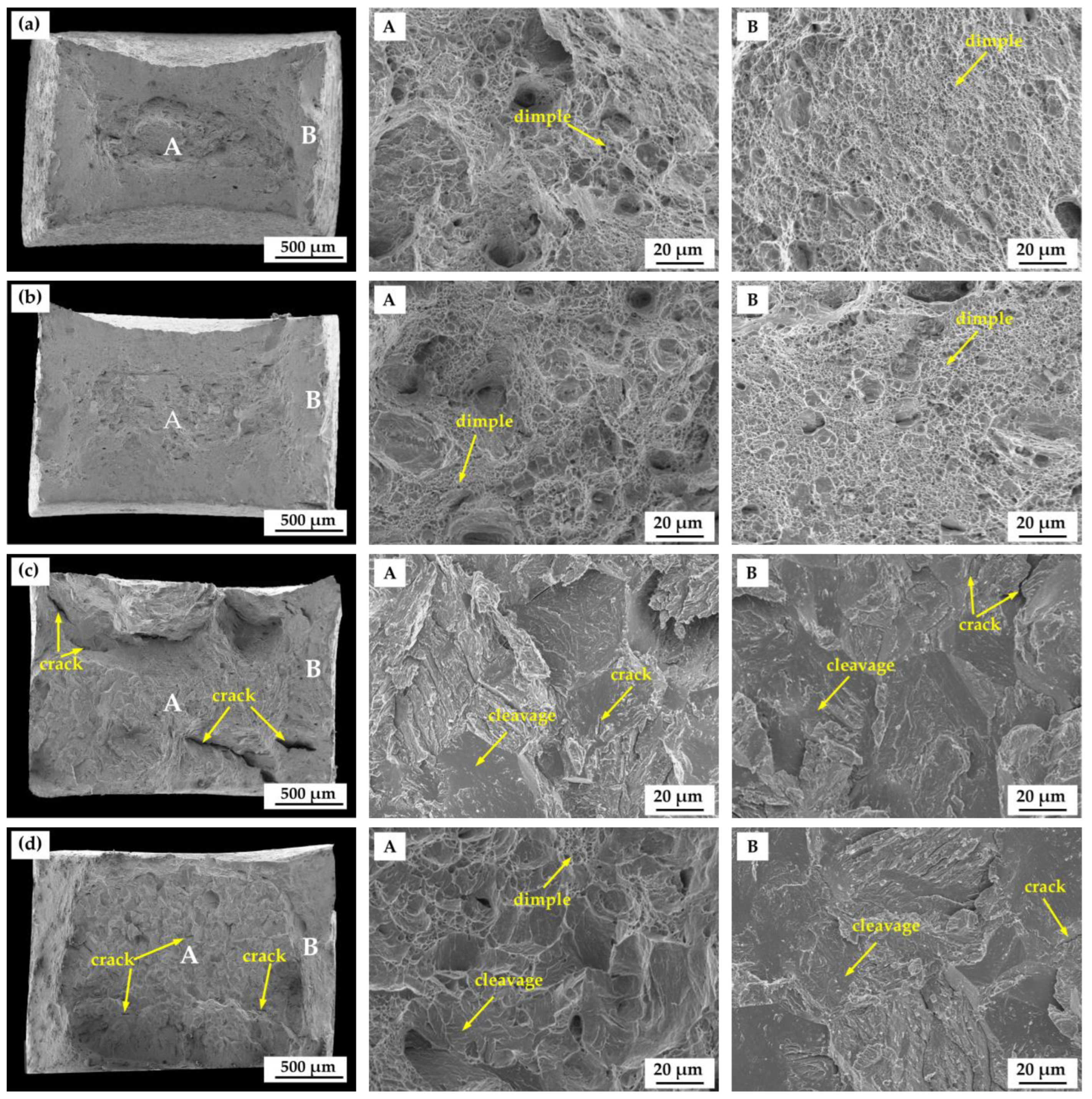 Materials 18 01161 g012