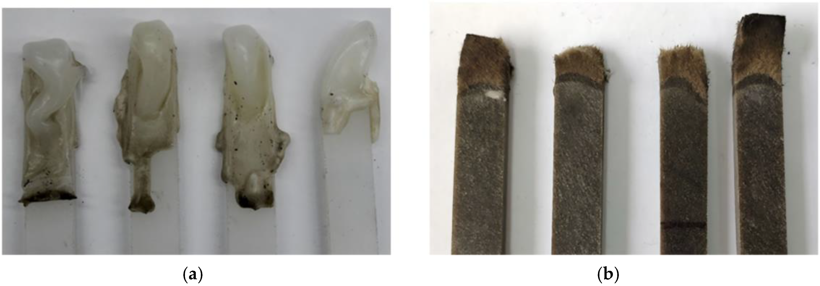 Materials 18 01164 g011