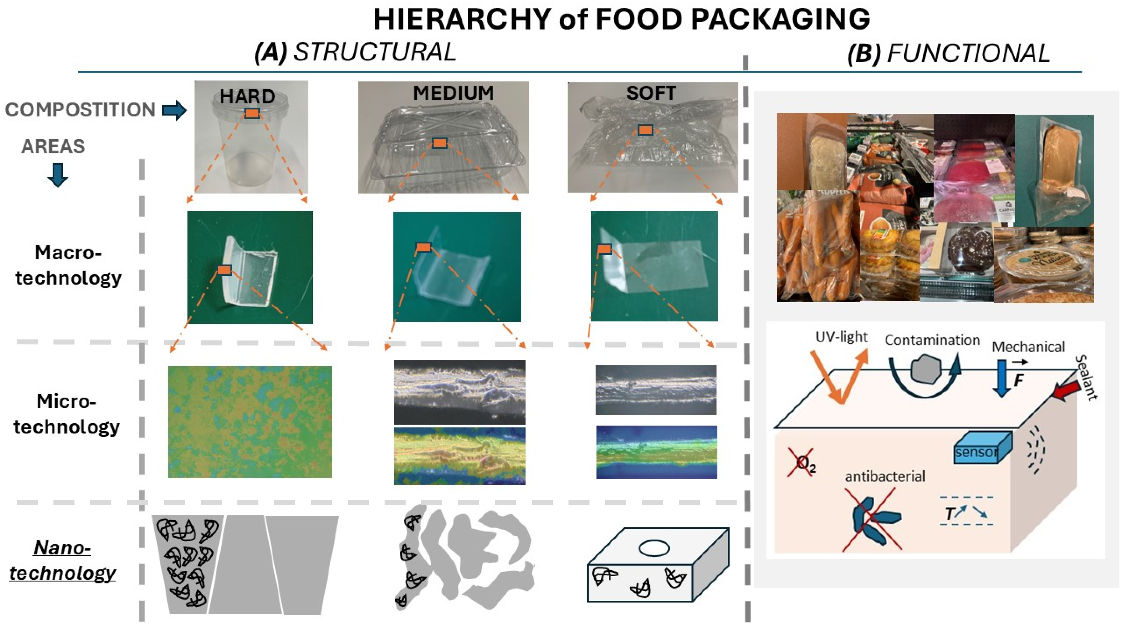Materials 18 01167 g001