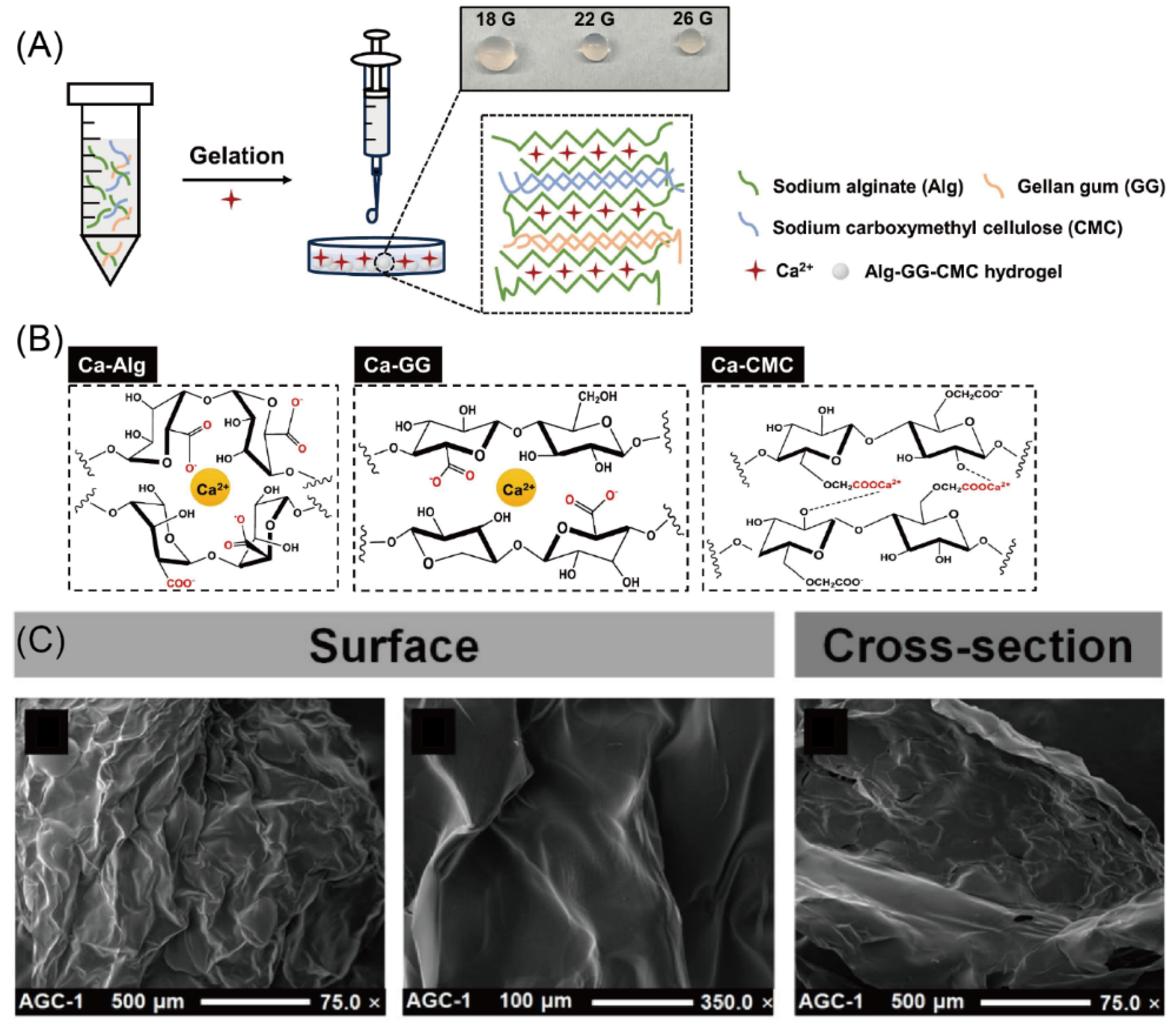 Materials 18 01167 g005