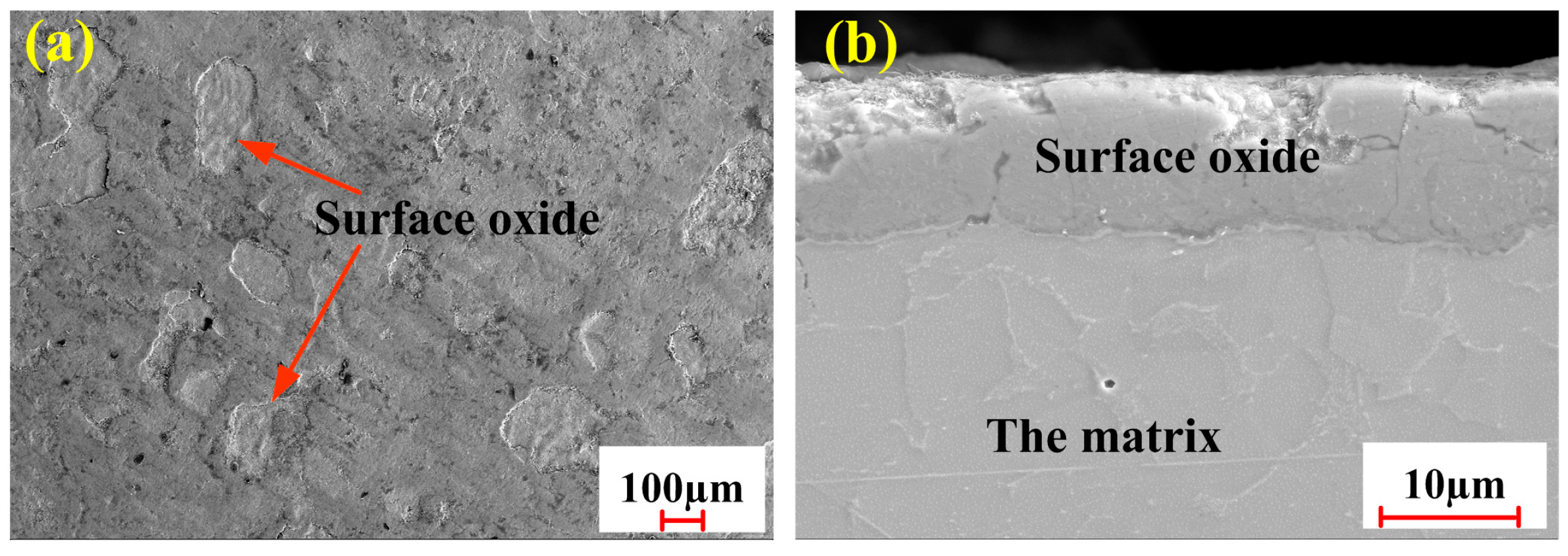 Materials 18 01247 g001
