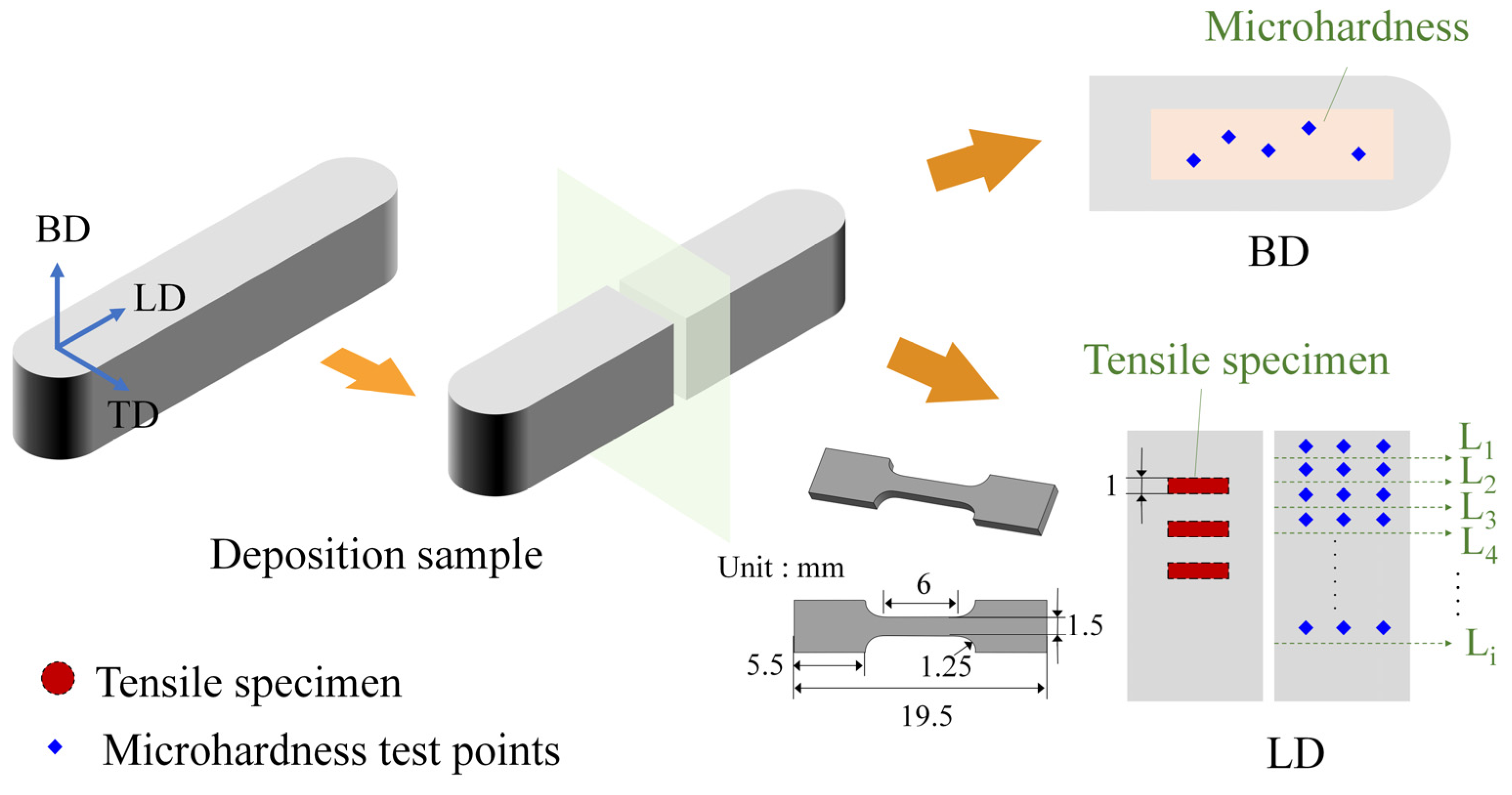 Materials 18 01257 g003