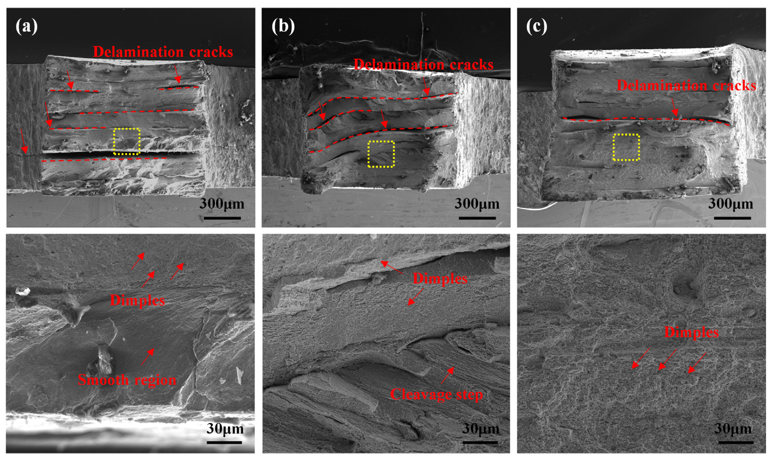Materials 18 01257 g014