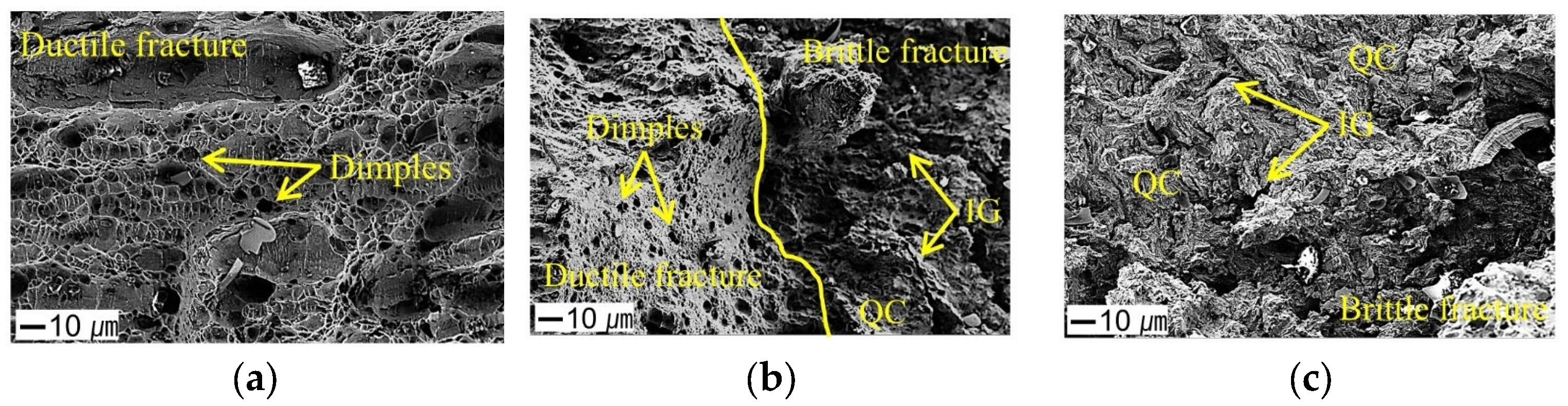 Materials 18 01274 g010