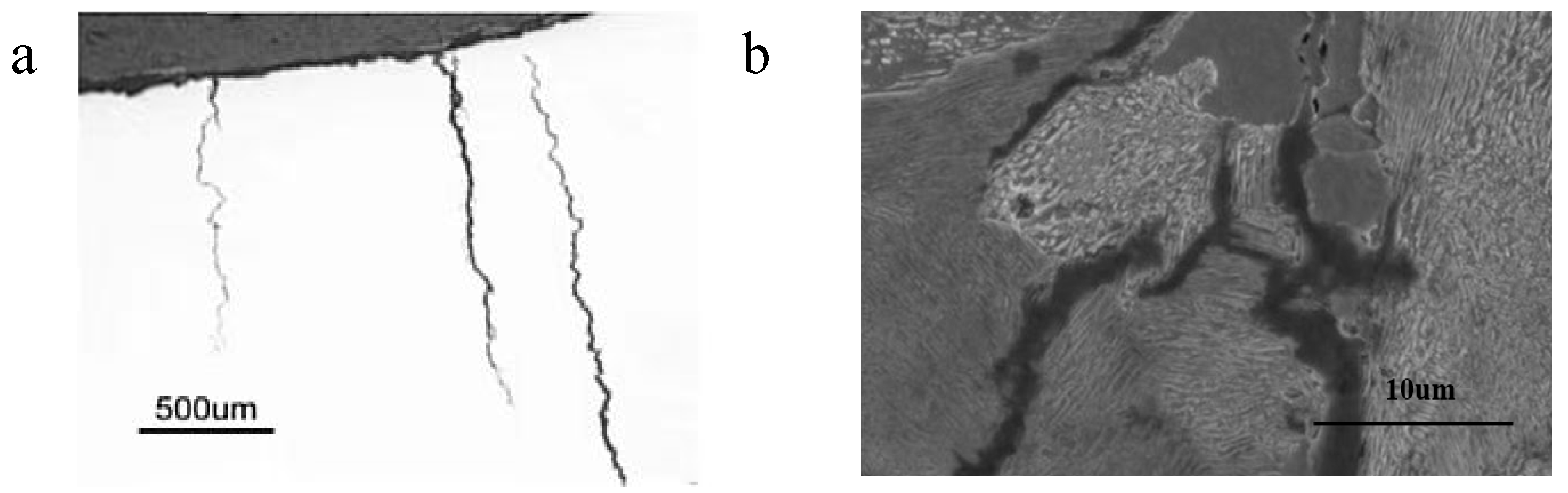 Materials 18 01275 g006