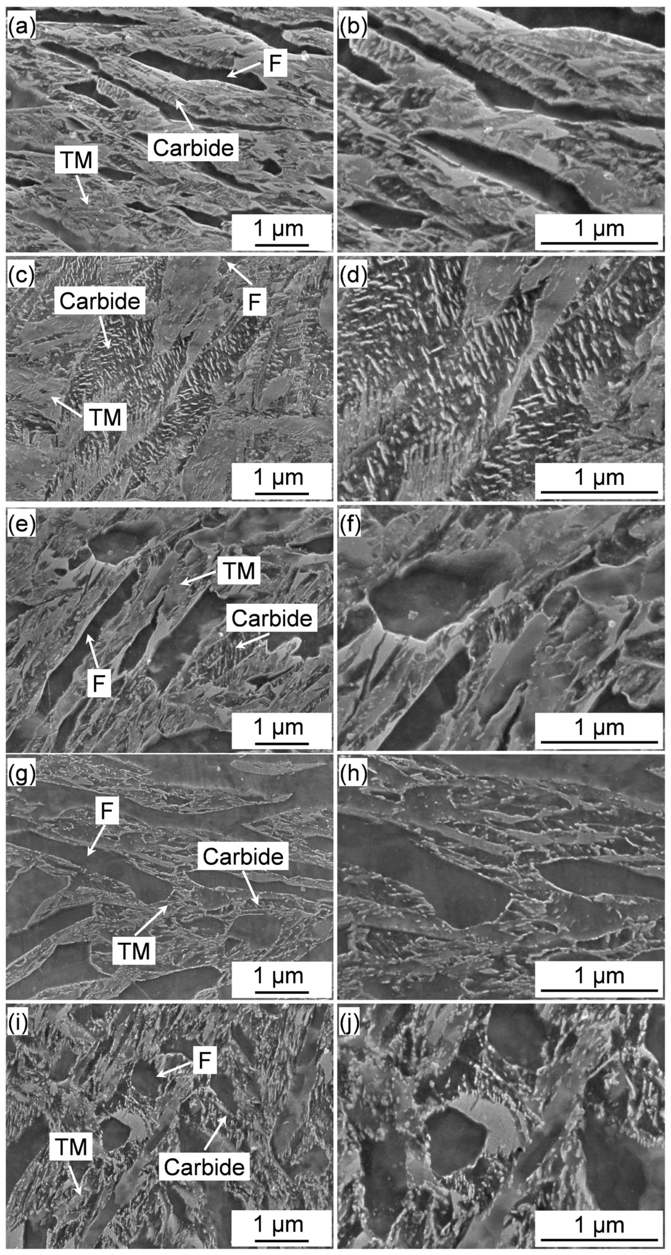 Materials 18 01292 g008