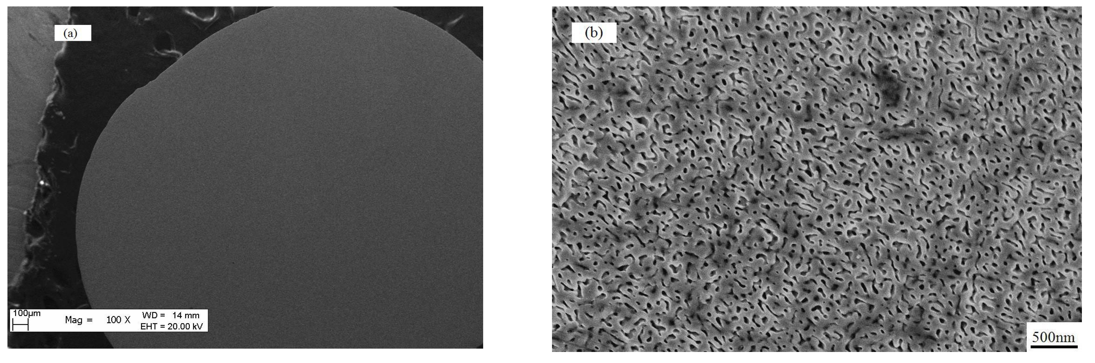 Materials 18 01361 g003