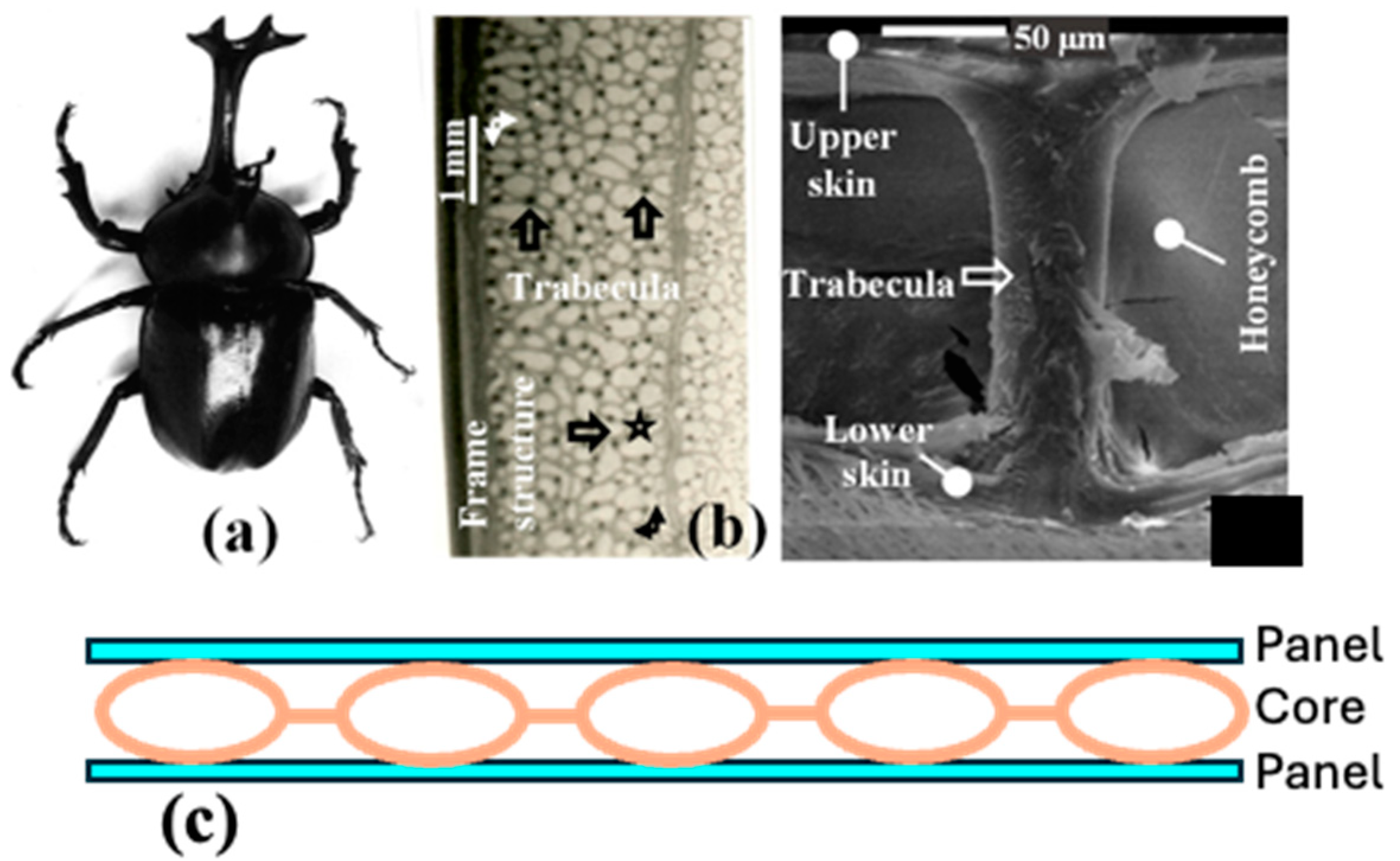 Materials 18 01377 g018