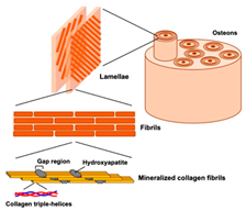 Materials 18 01377 i001