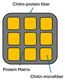 Materials 18 01377 i003