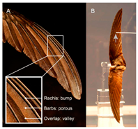 Materials 18 01377 i013